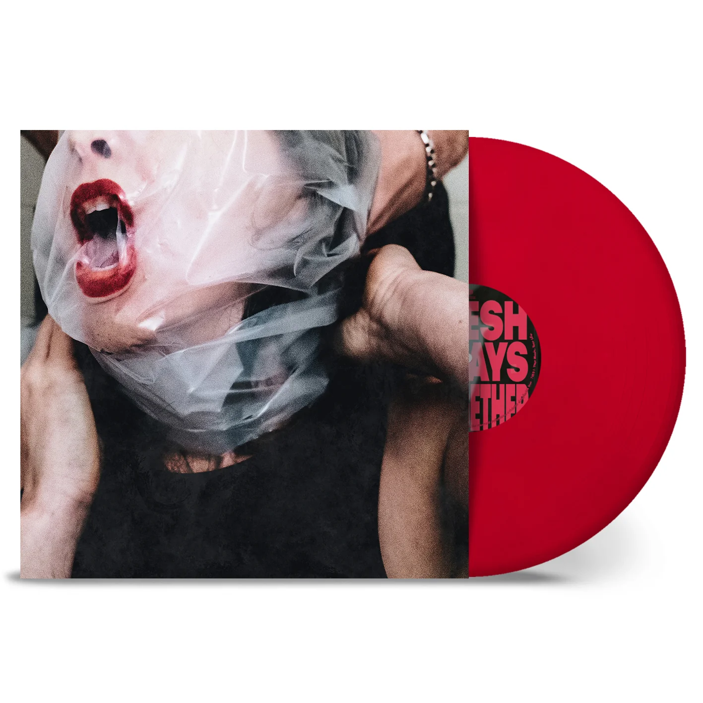 Flesh Stays Together - Image 2