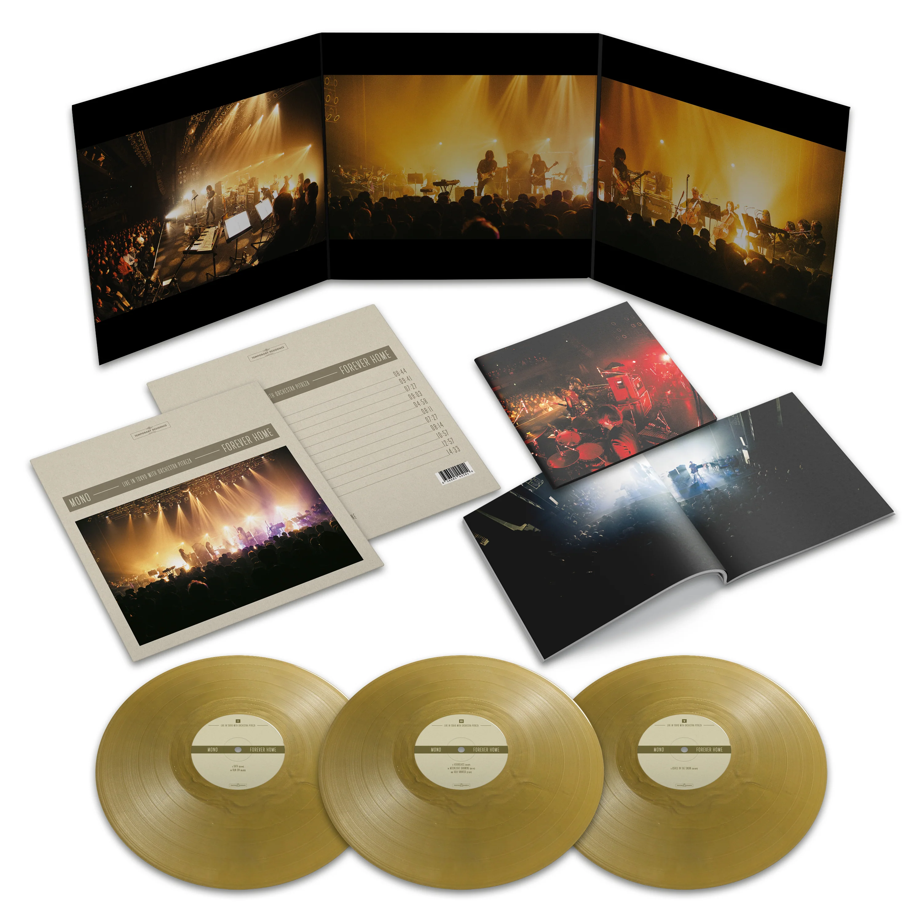 Forever Home: Live in Japan with Orchestra Pitreza - Image 2