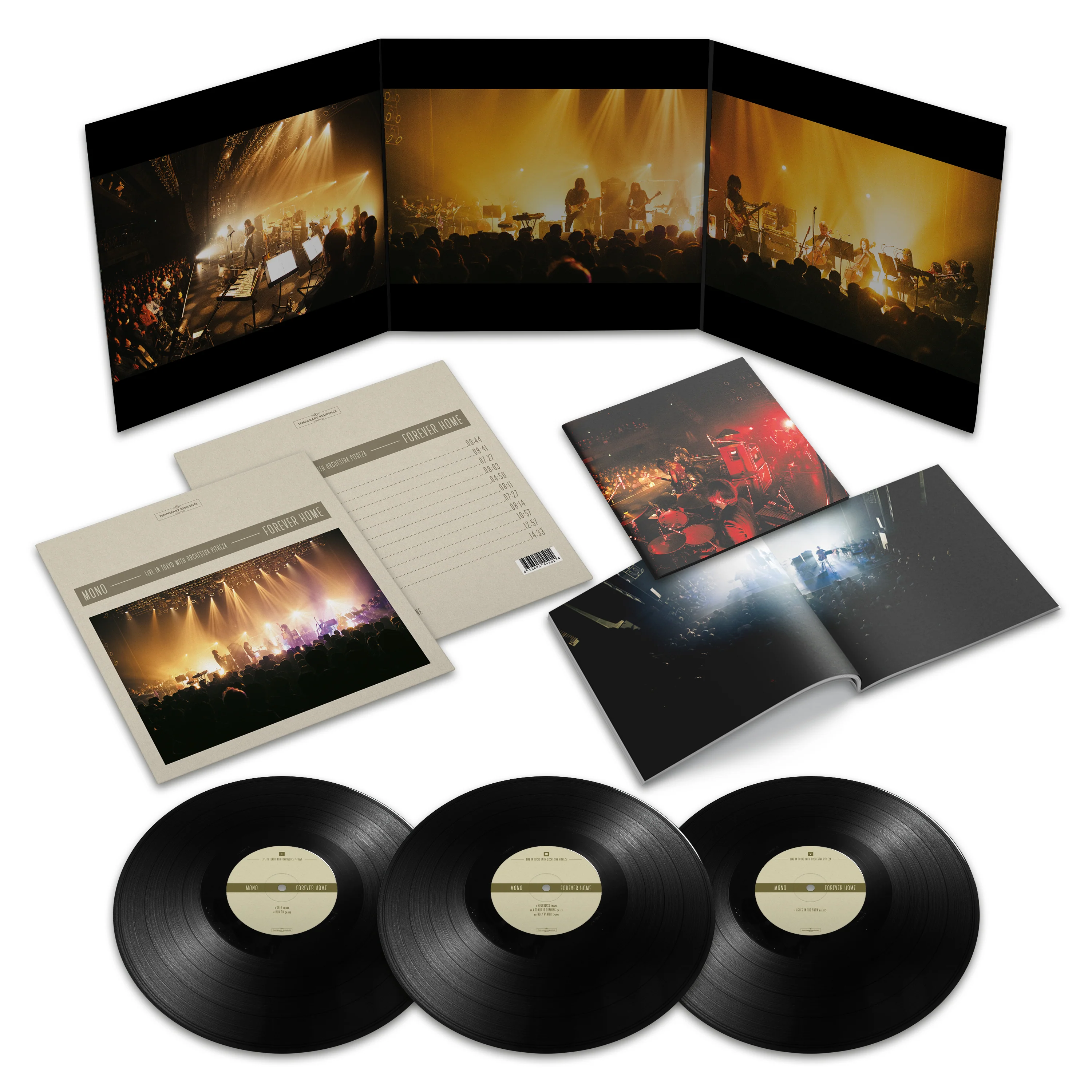 Forever Home: Live in Japan with Orchestra Pitreza - Image 3