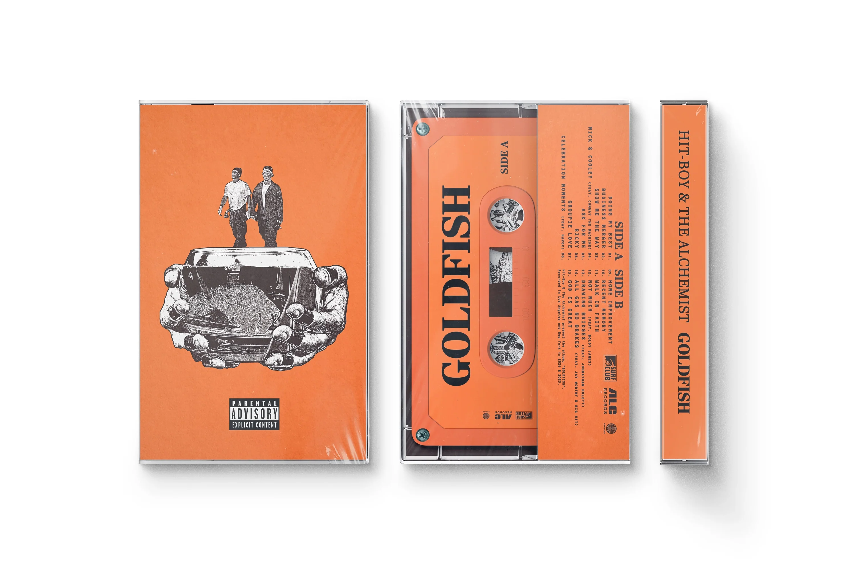 Goldfish - Image 3