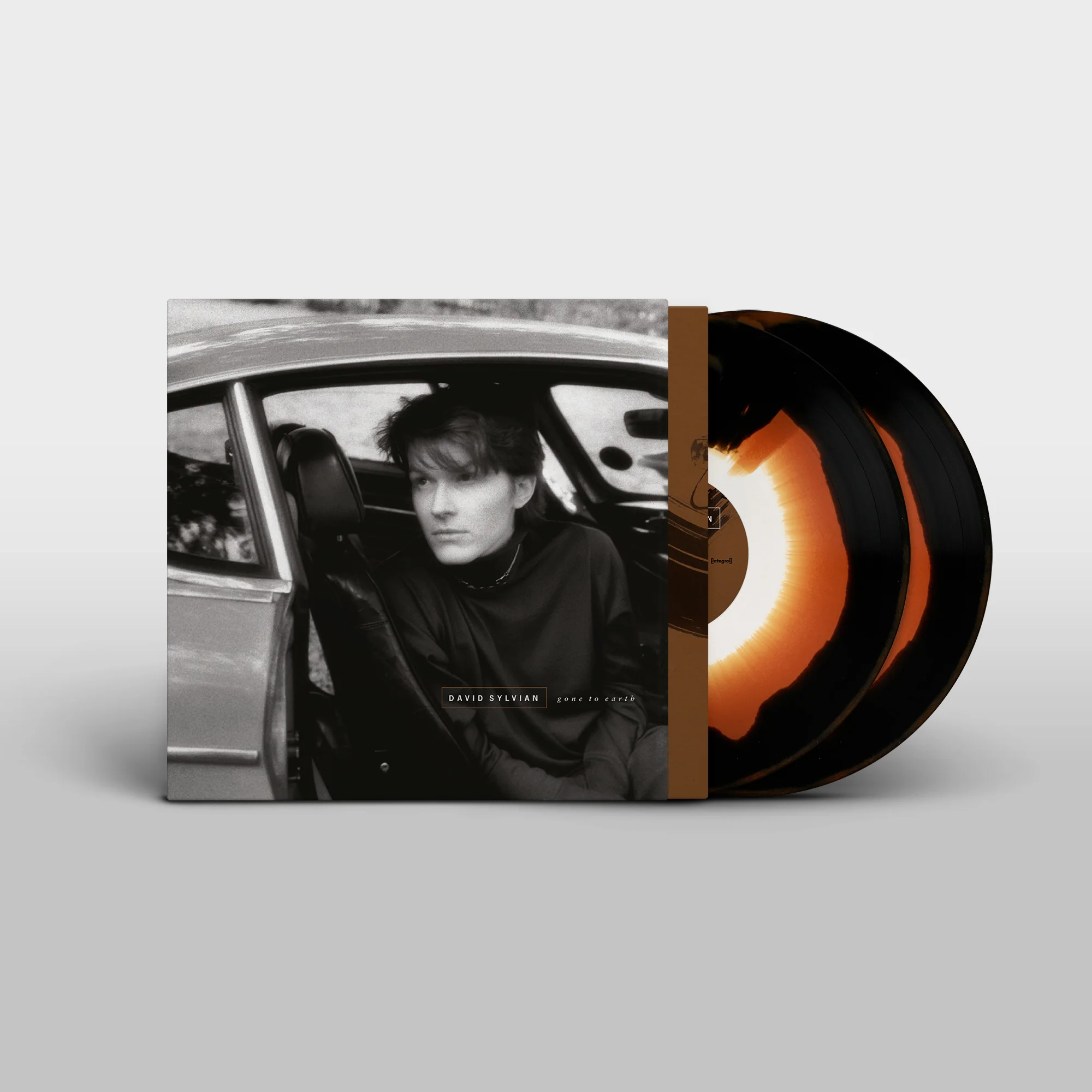 Gone To Earth - Image 2