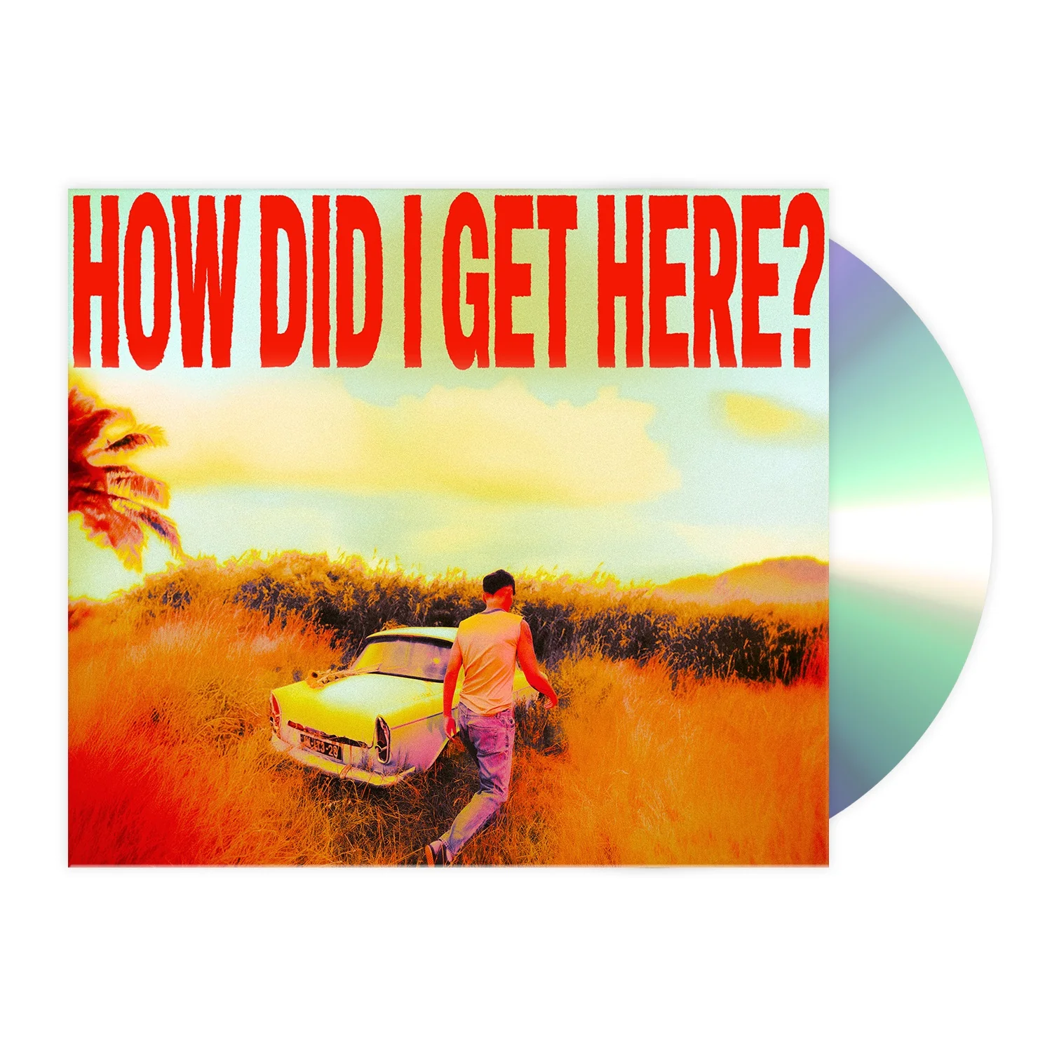 How Did I Get Here? - Image 4