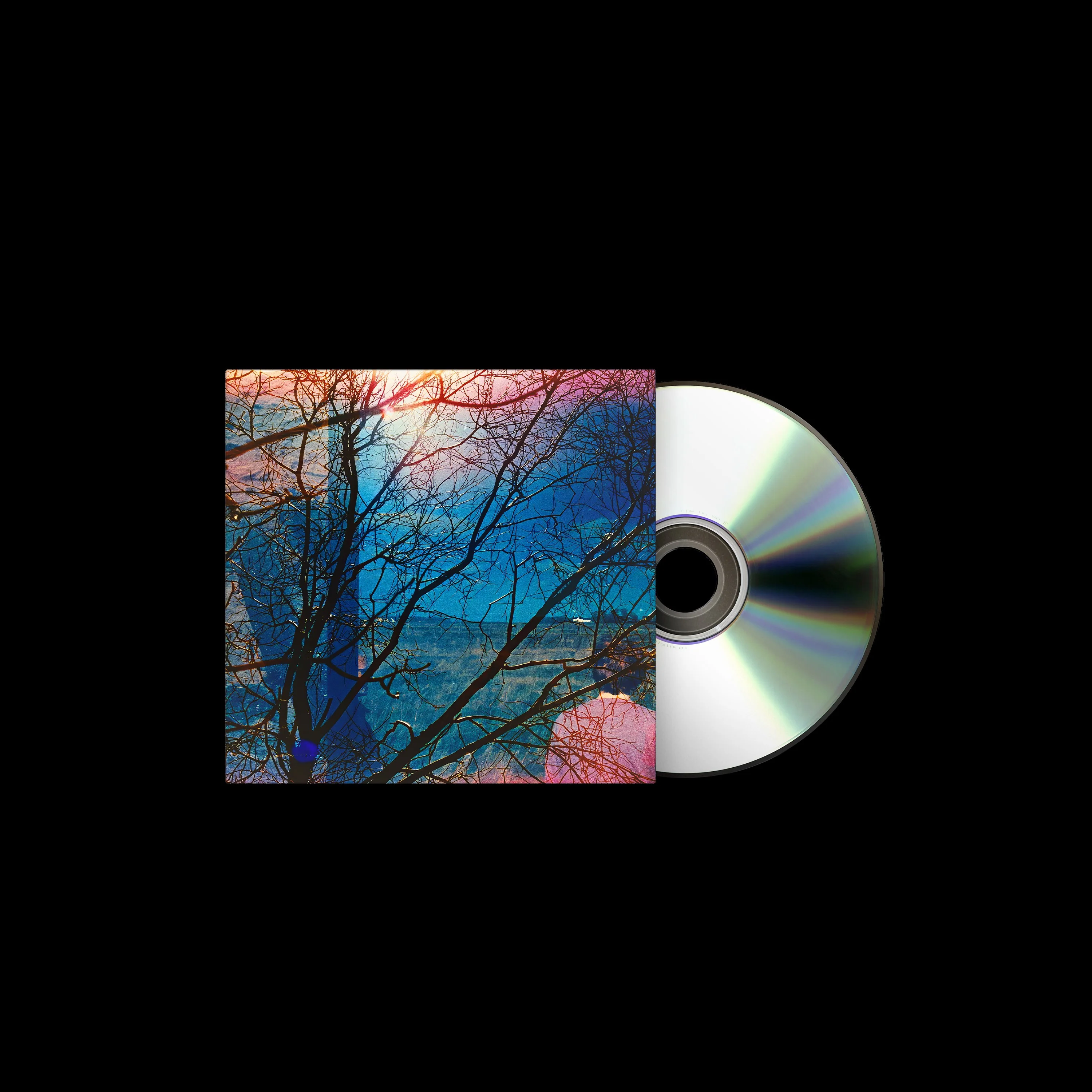 Idlewild - Image 4