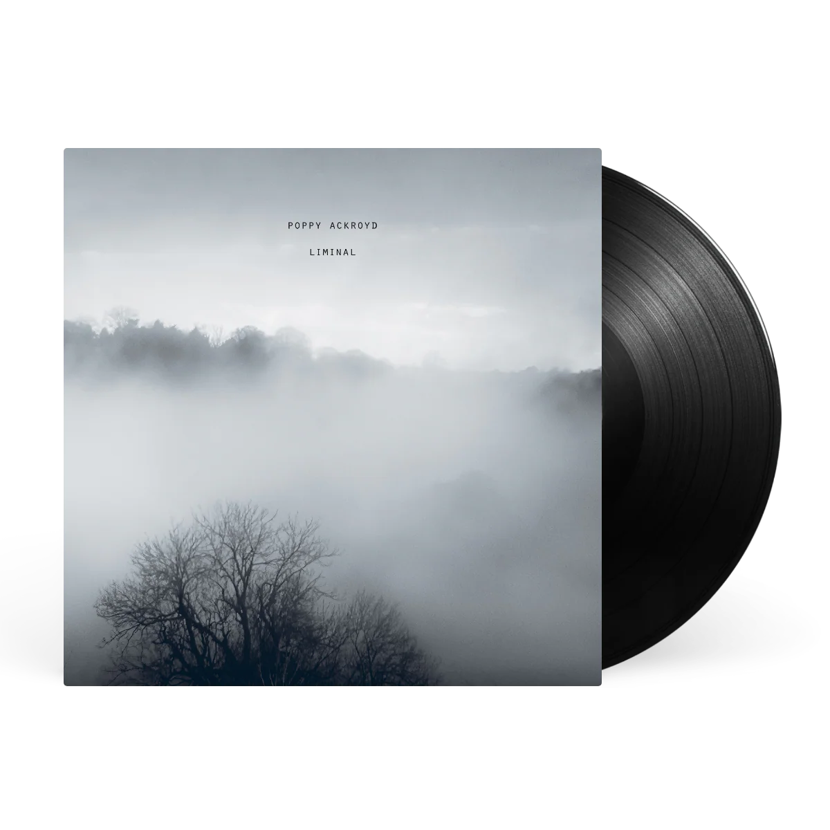 Liminal - Image 2
