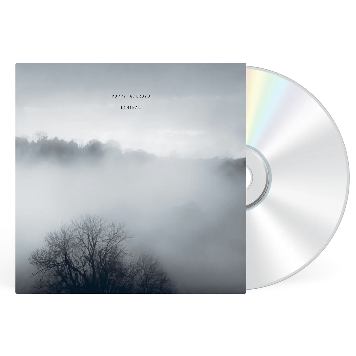 Liminal - Image 3