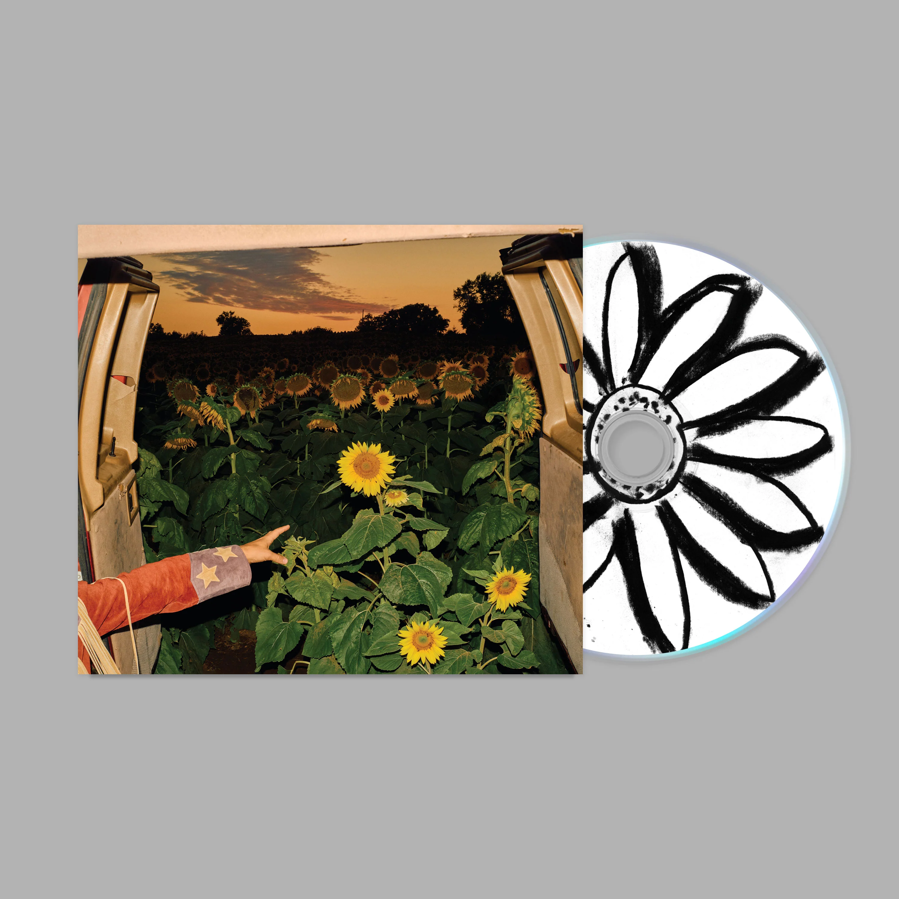 Little Wide Open - Image 4