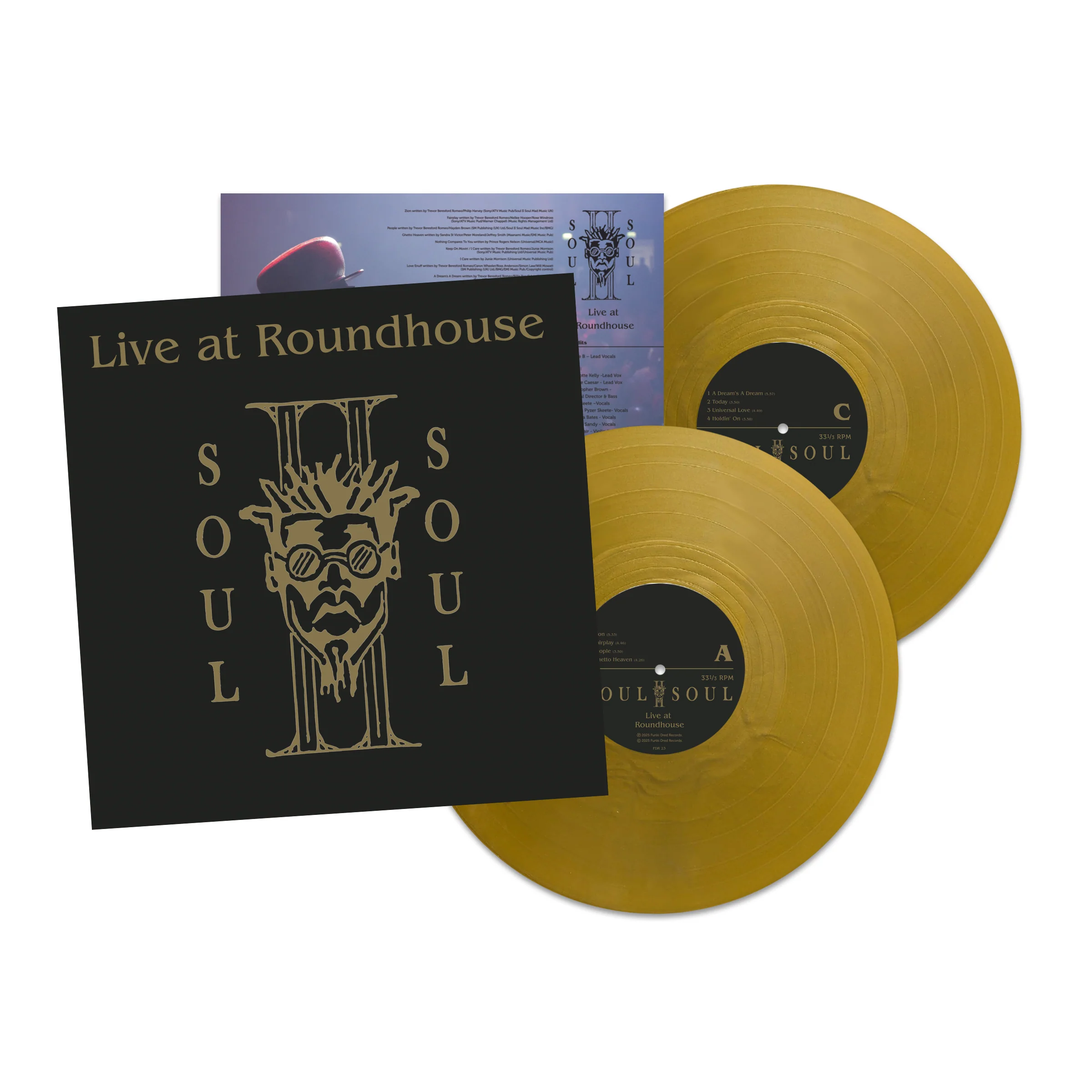 Live at the Roundhouse - Image 5