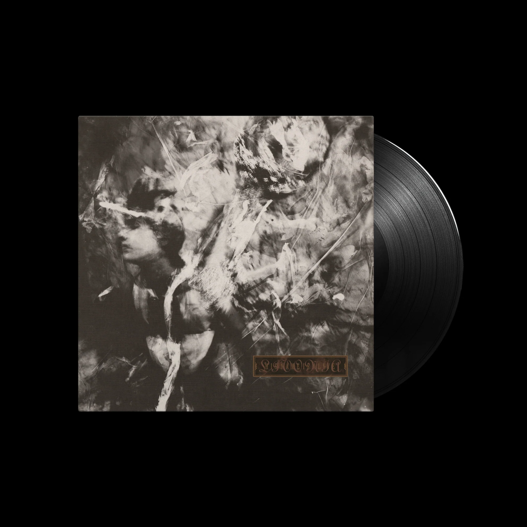 Livonia - Image 2
