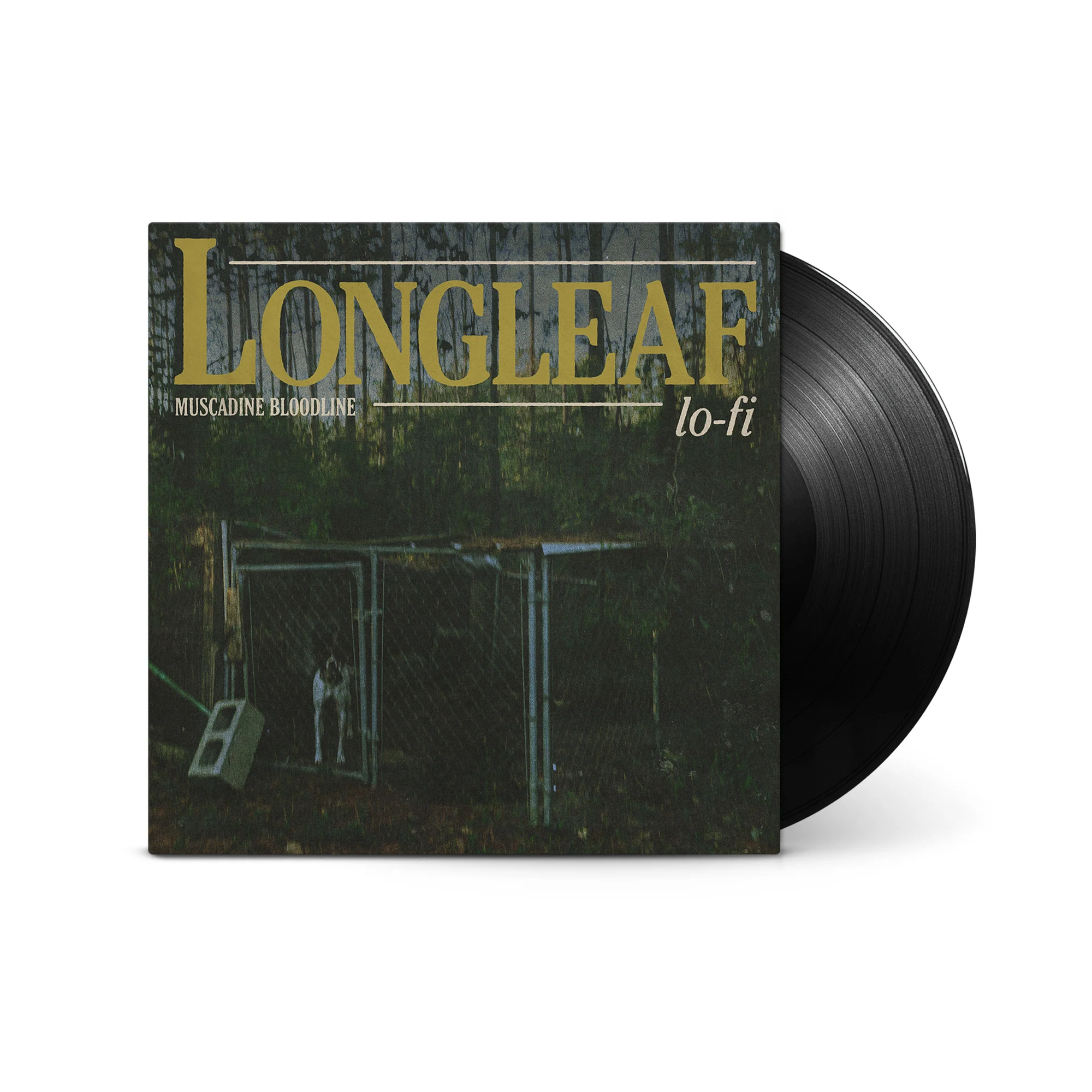 Longleaf Lo-Fi - Image 2