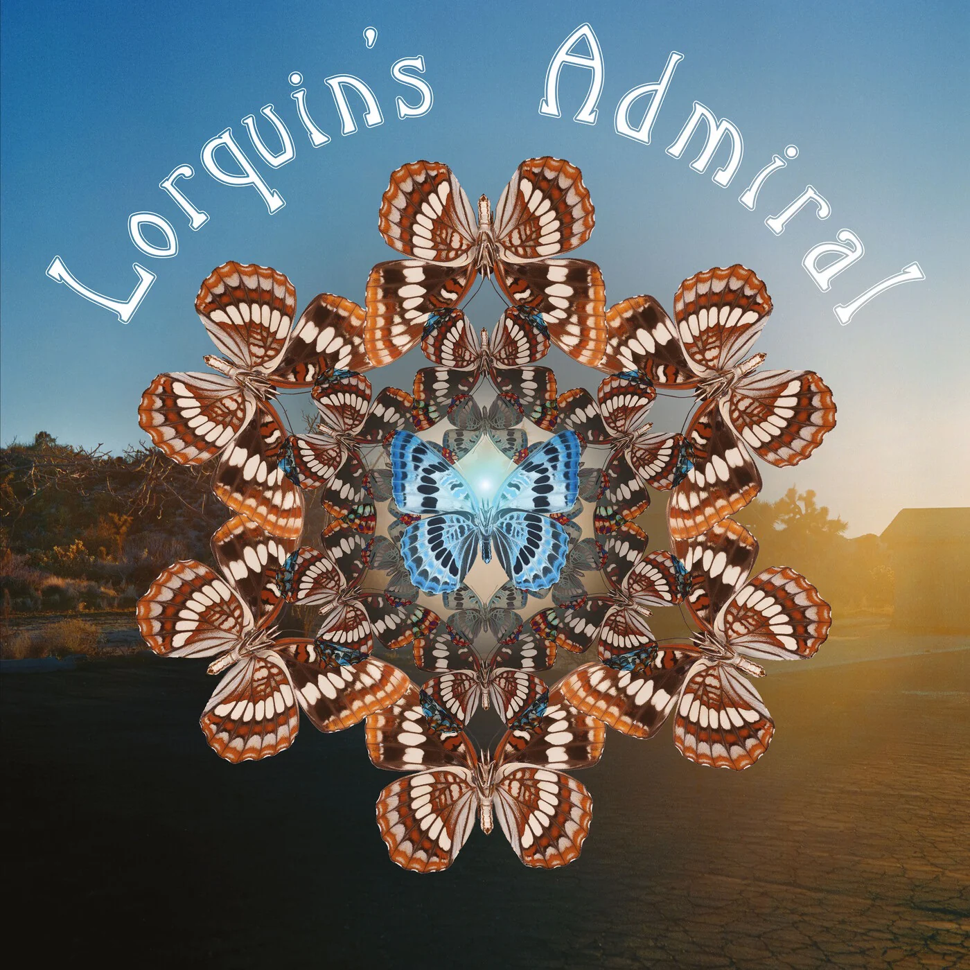 Lorquin’s Admiral