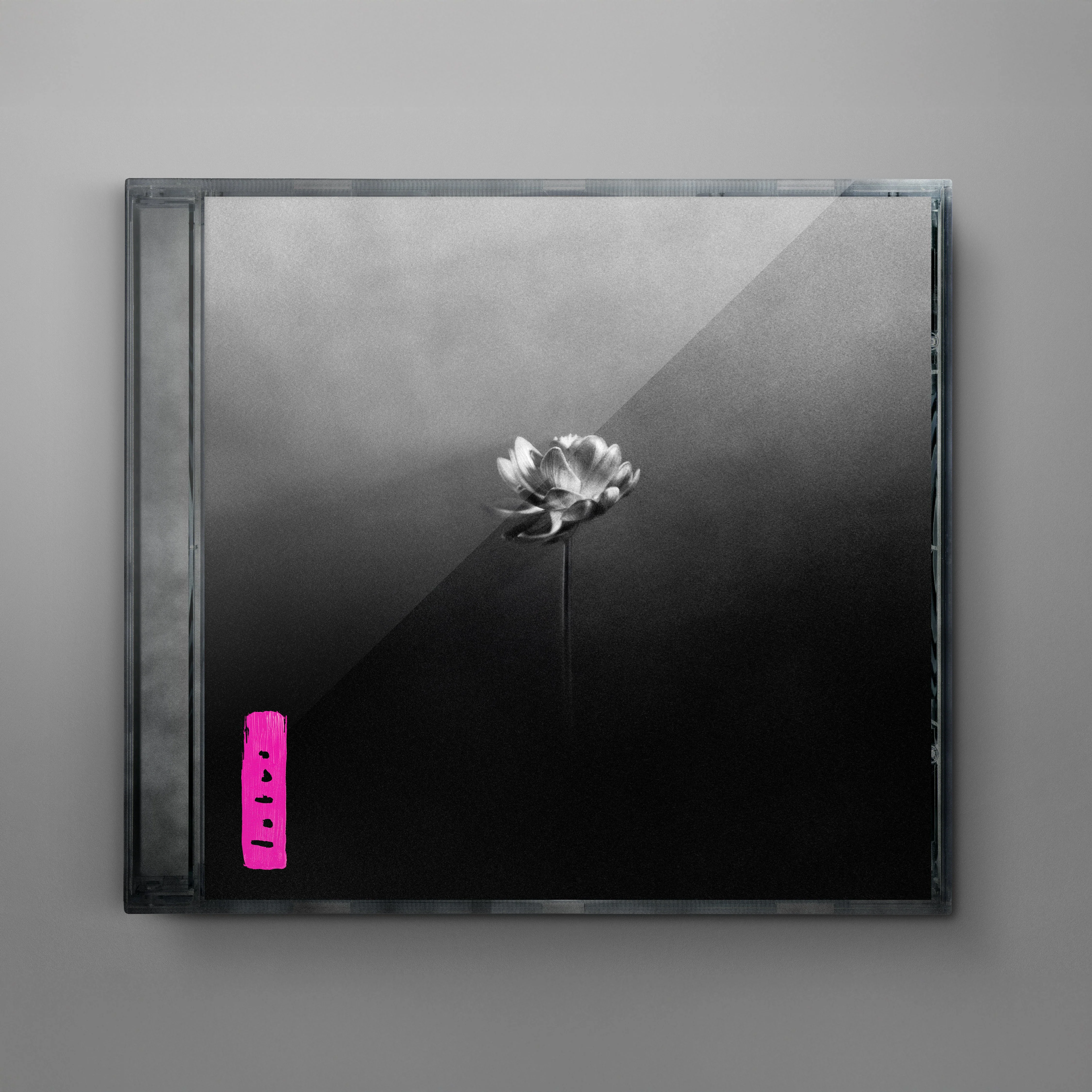 Lotus - Image 5