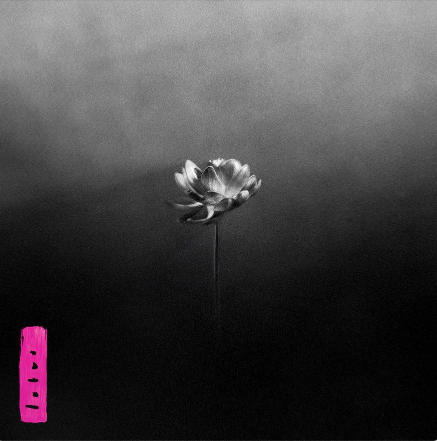 Lotus - Image 67