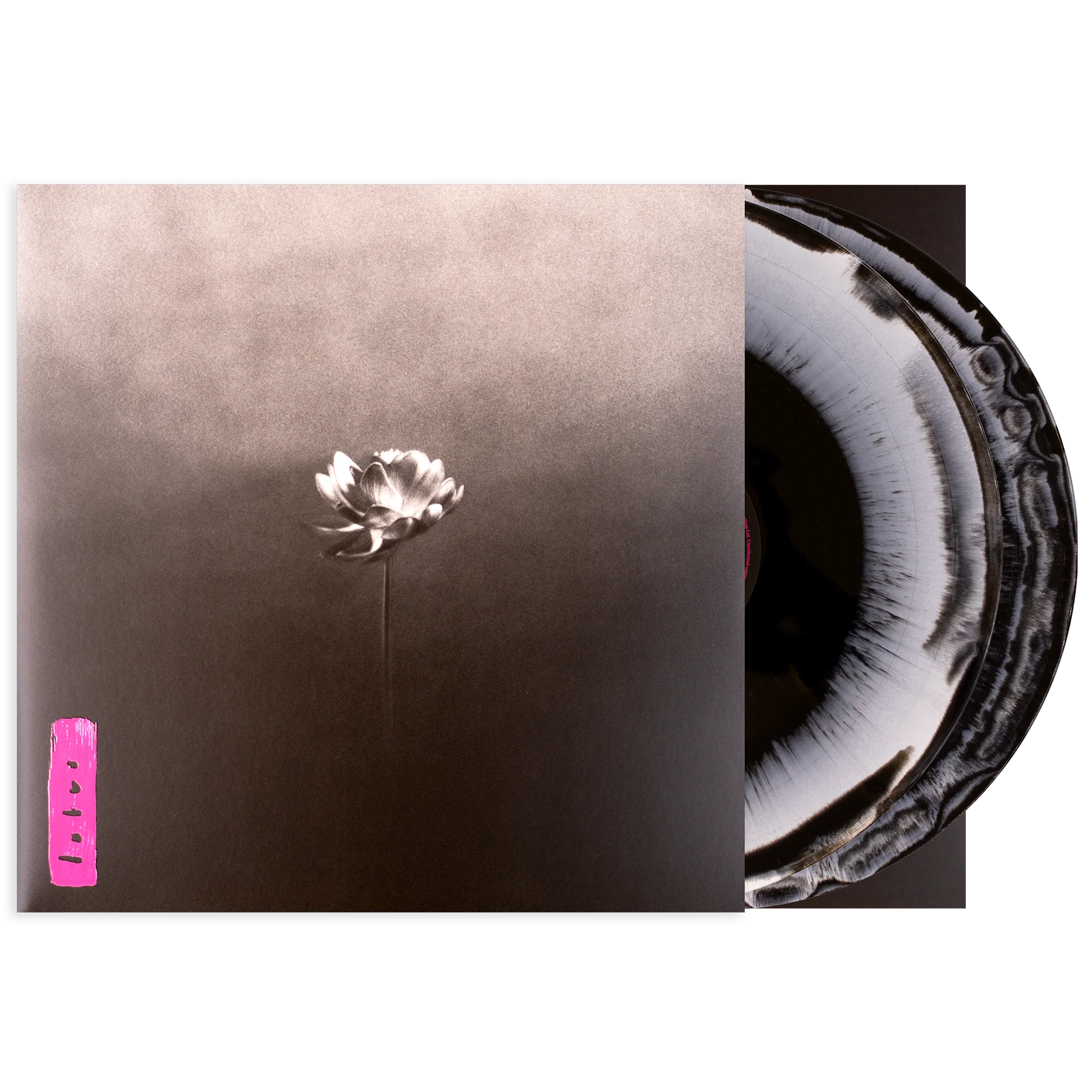 Lotus - Image 84