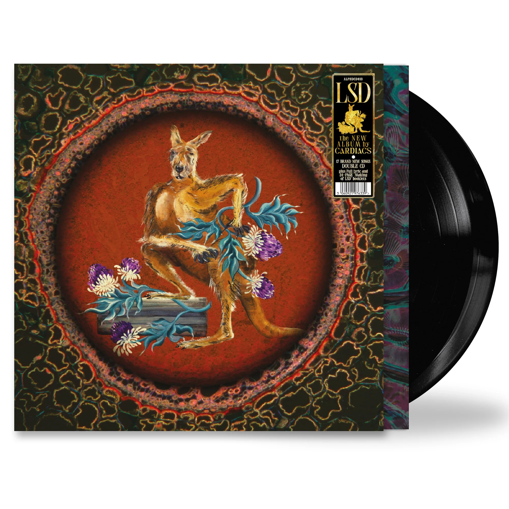 LSD - Image 3