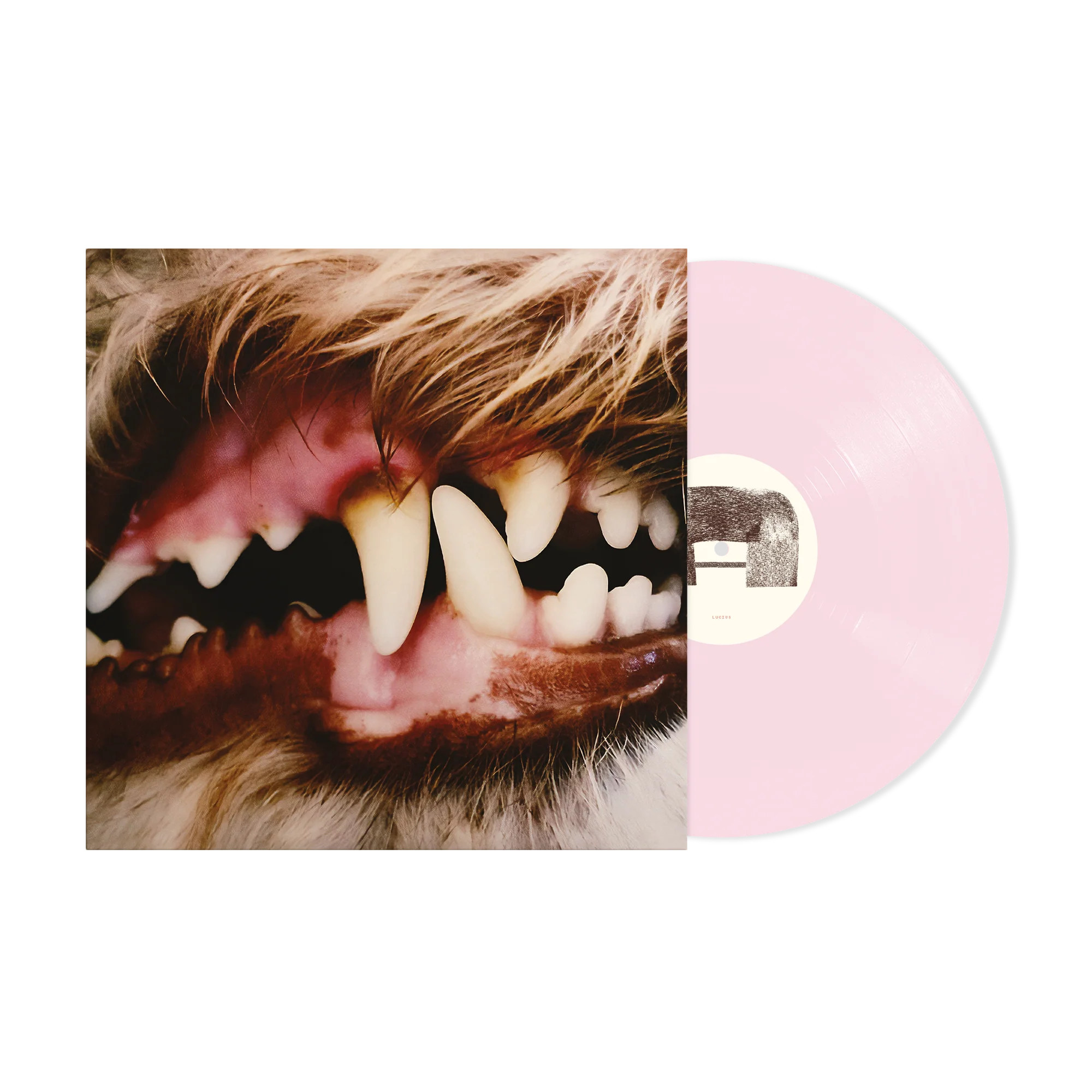 Lucius - Image 2