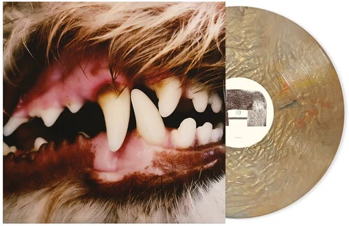 Lucius - Image 3