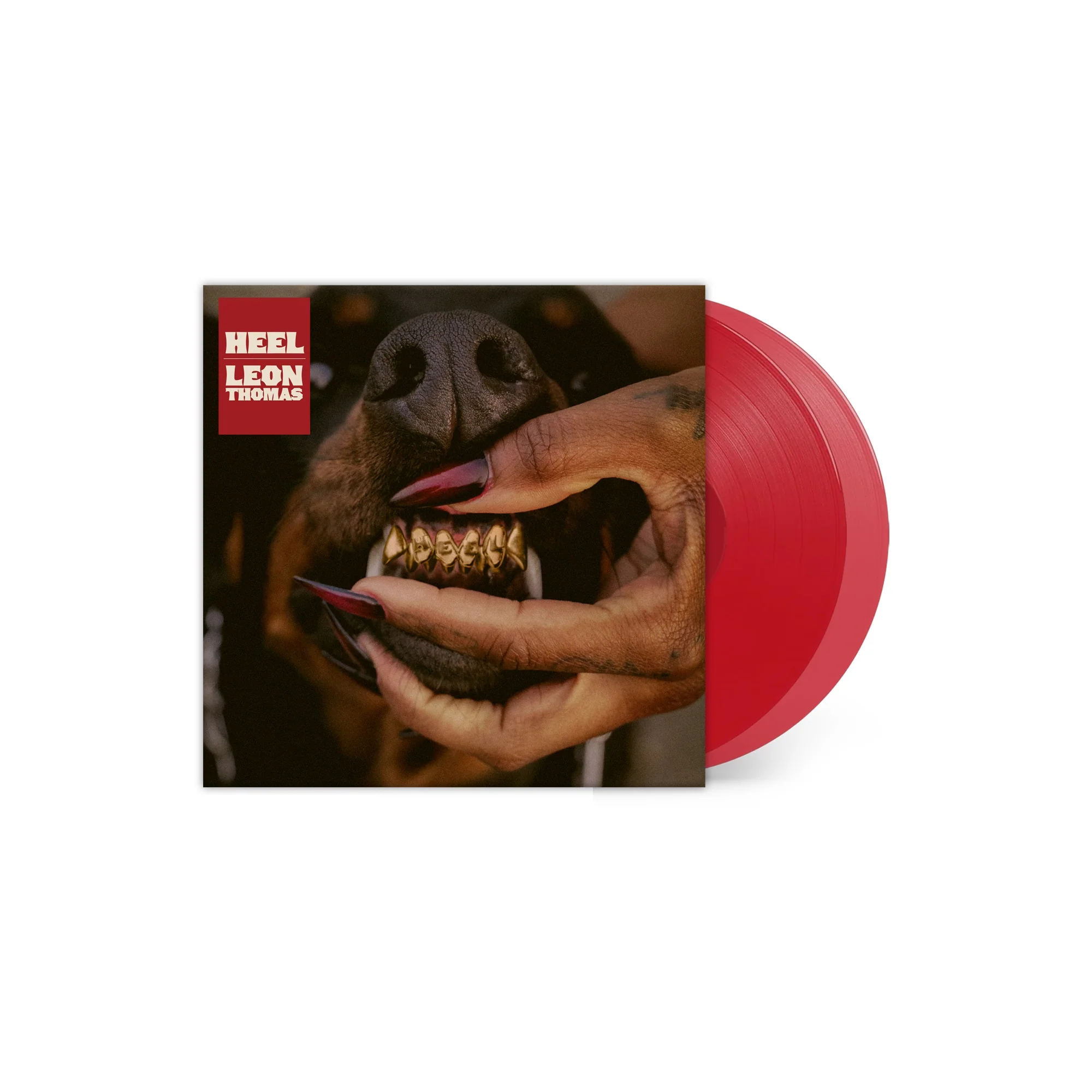 MUTT Deluxe: HEEL - Image 2