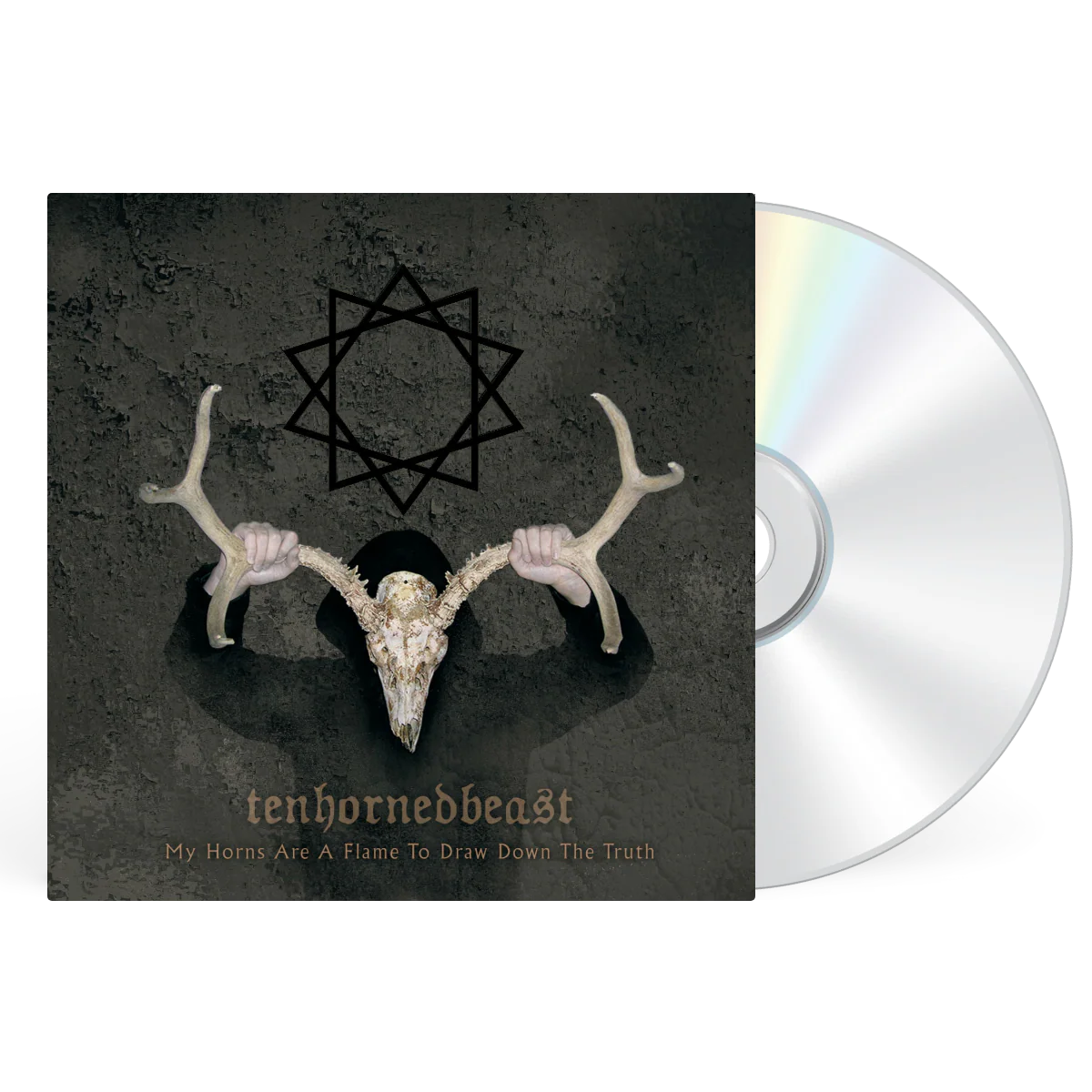 My Horns Are A Flame To Draw Down The Truth - Image 2