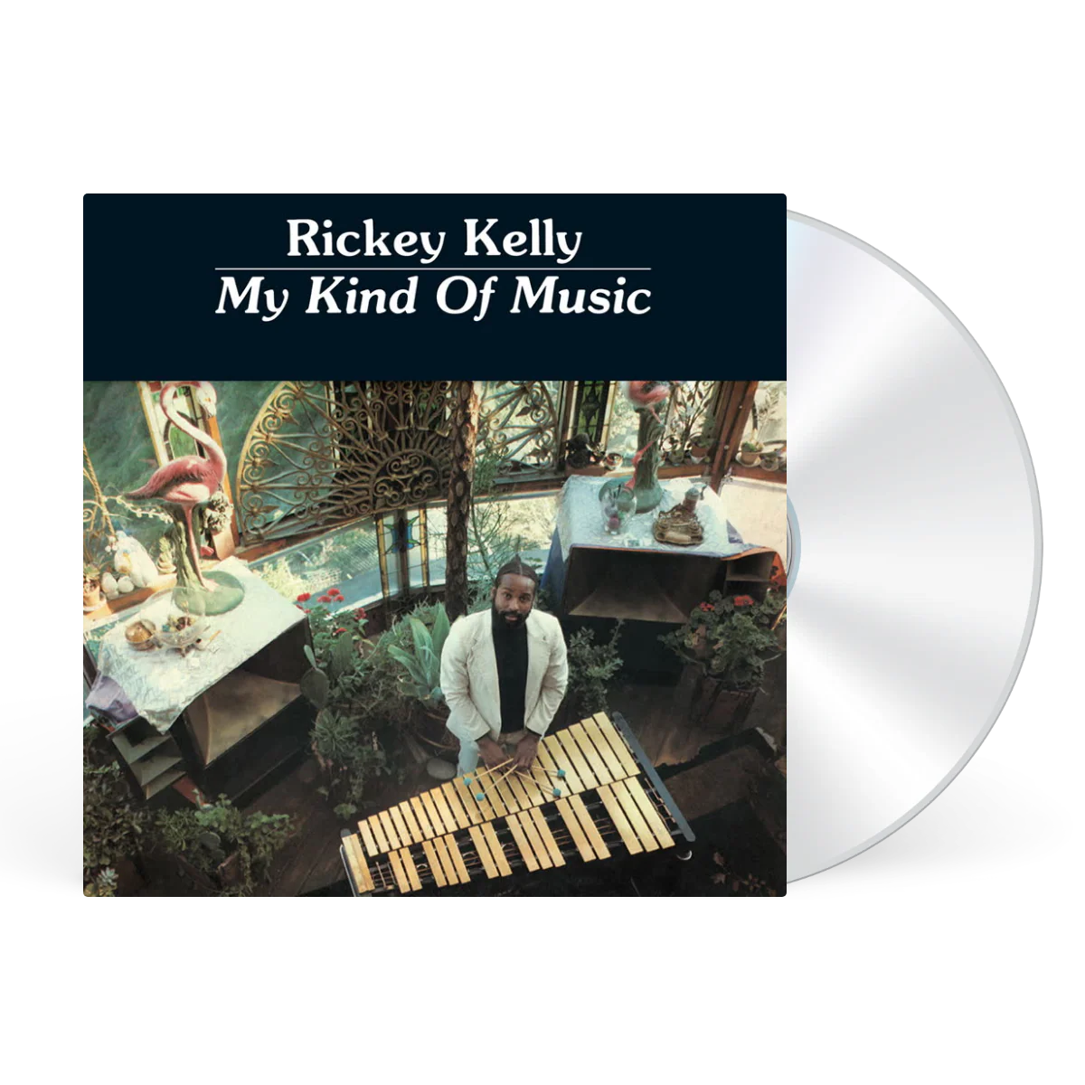 My Kind Of Music - Image 2