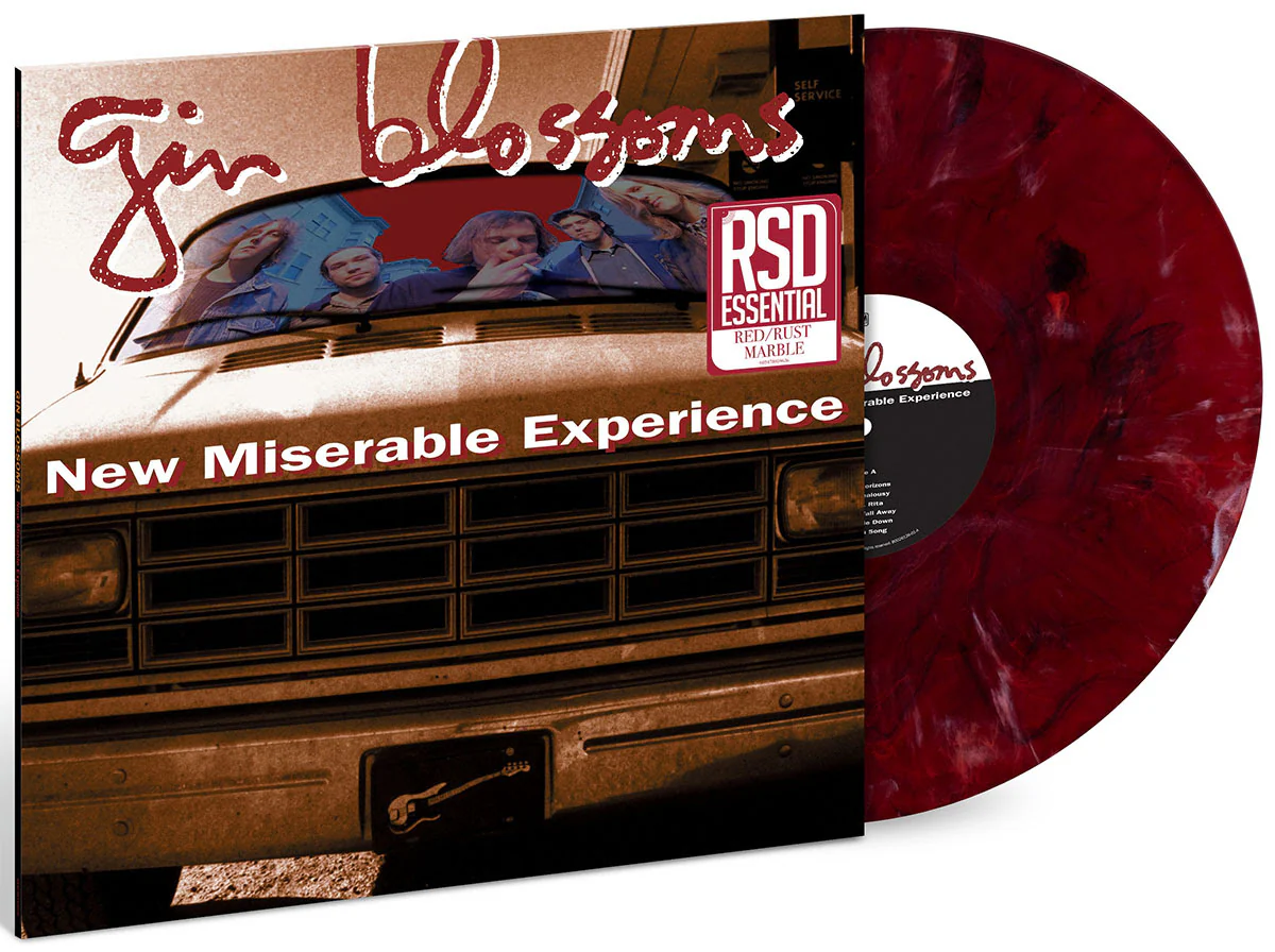 New Miserable Experience (RSD Essential) - Image 2