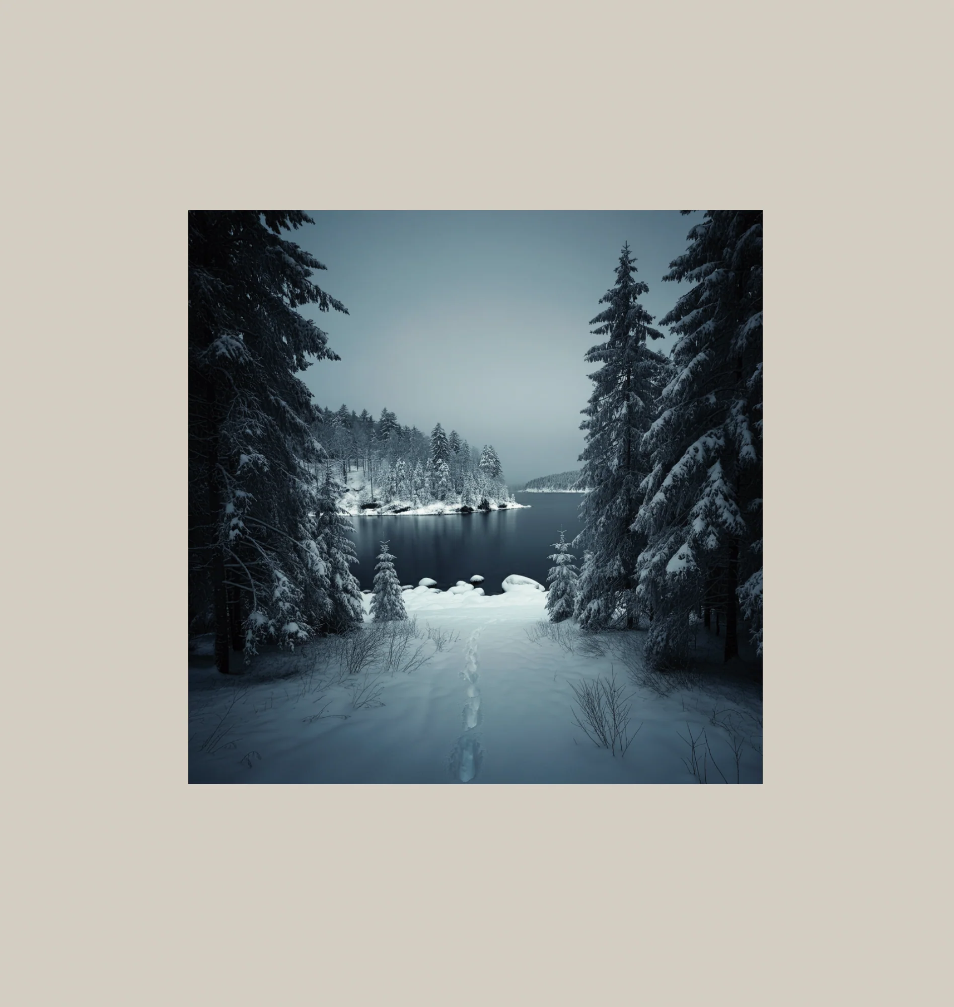 Northern Michigan Snowstorms - Image 2