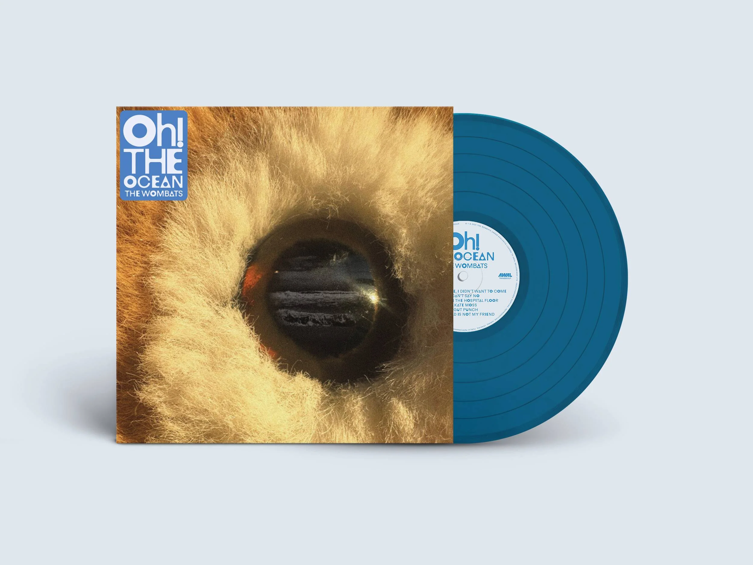 Oh! The Ocean - Image 2