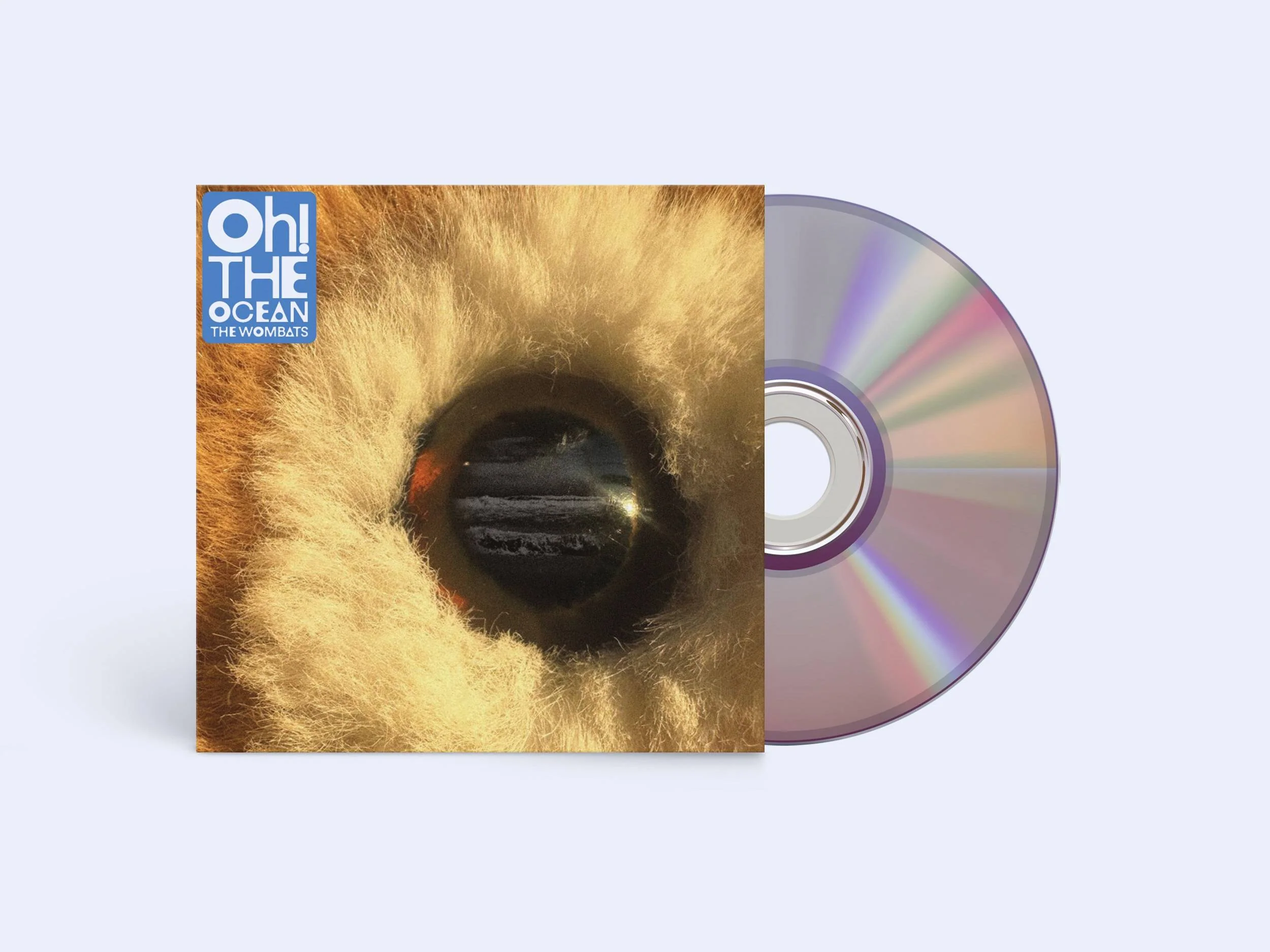 Oh! The Ocean - Image 4
