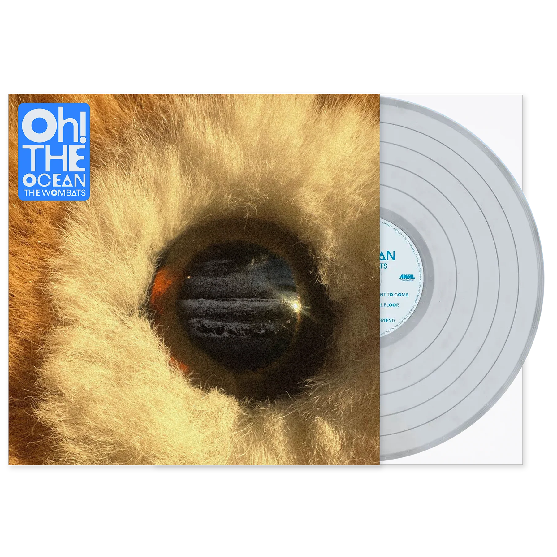 Oh! The Ocean - Image 9