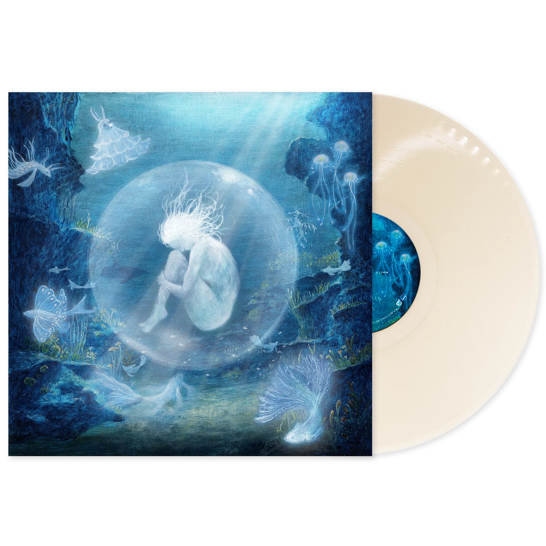 oyster - Image 3