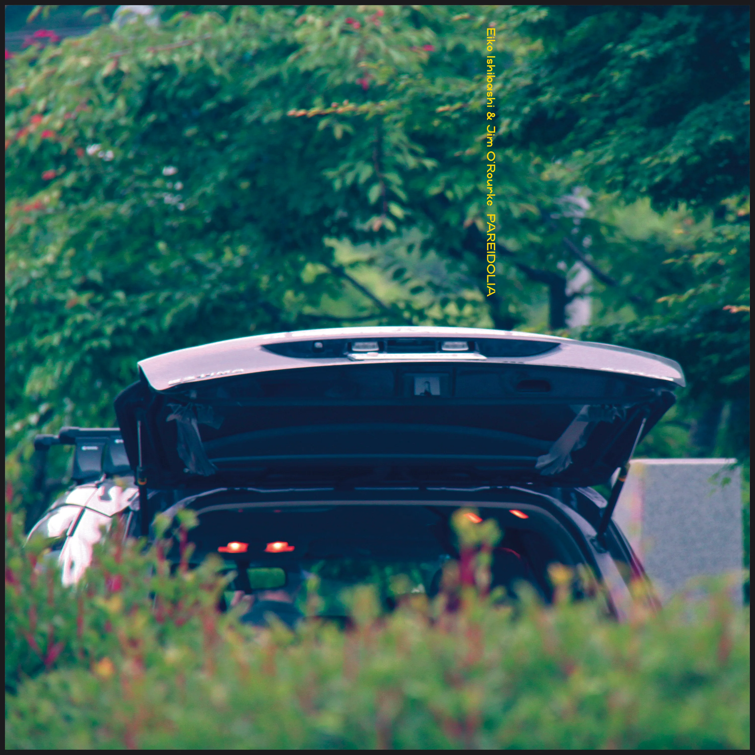 Pareidolia - Image 2