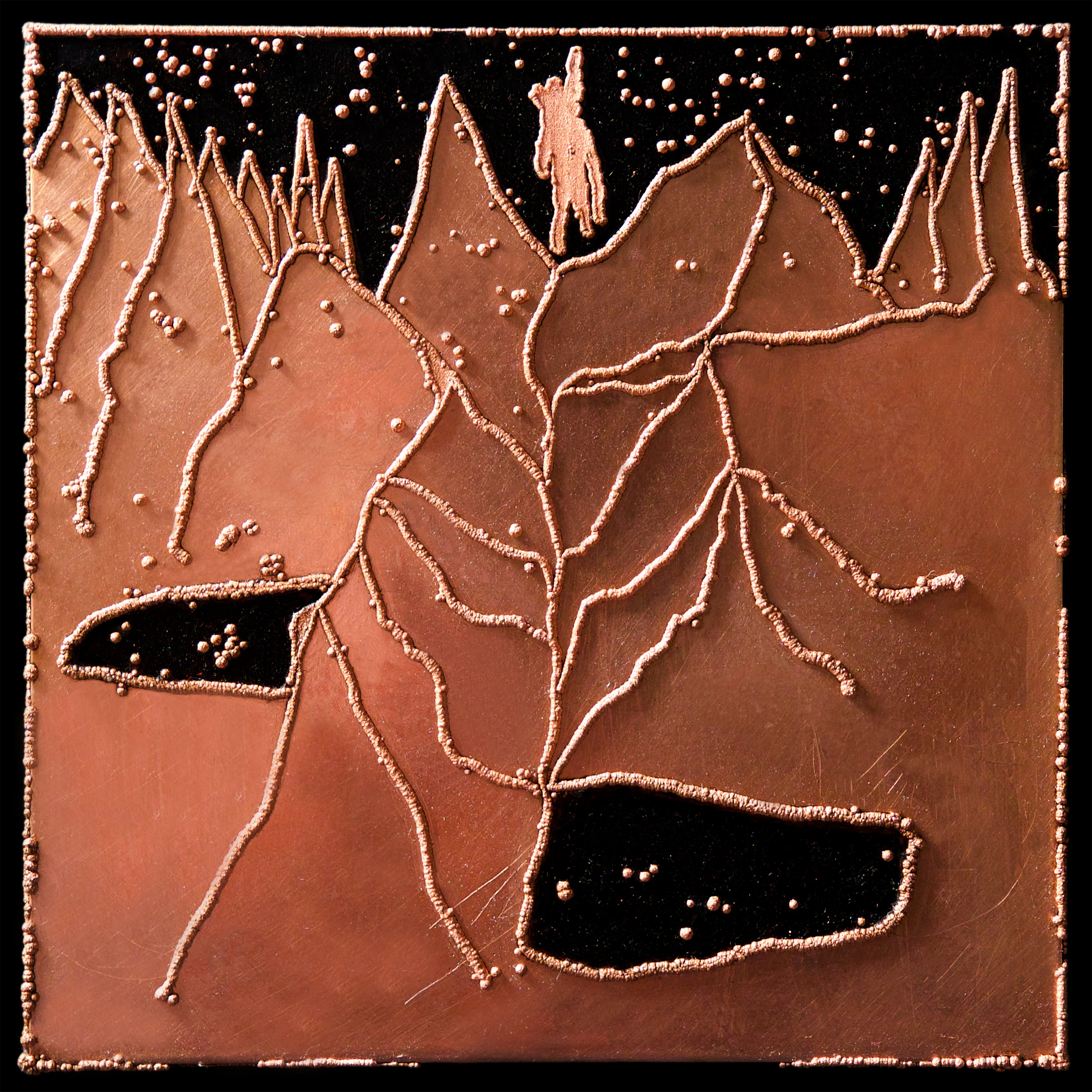 Plan 75 - Image 2