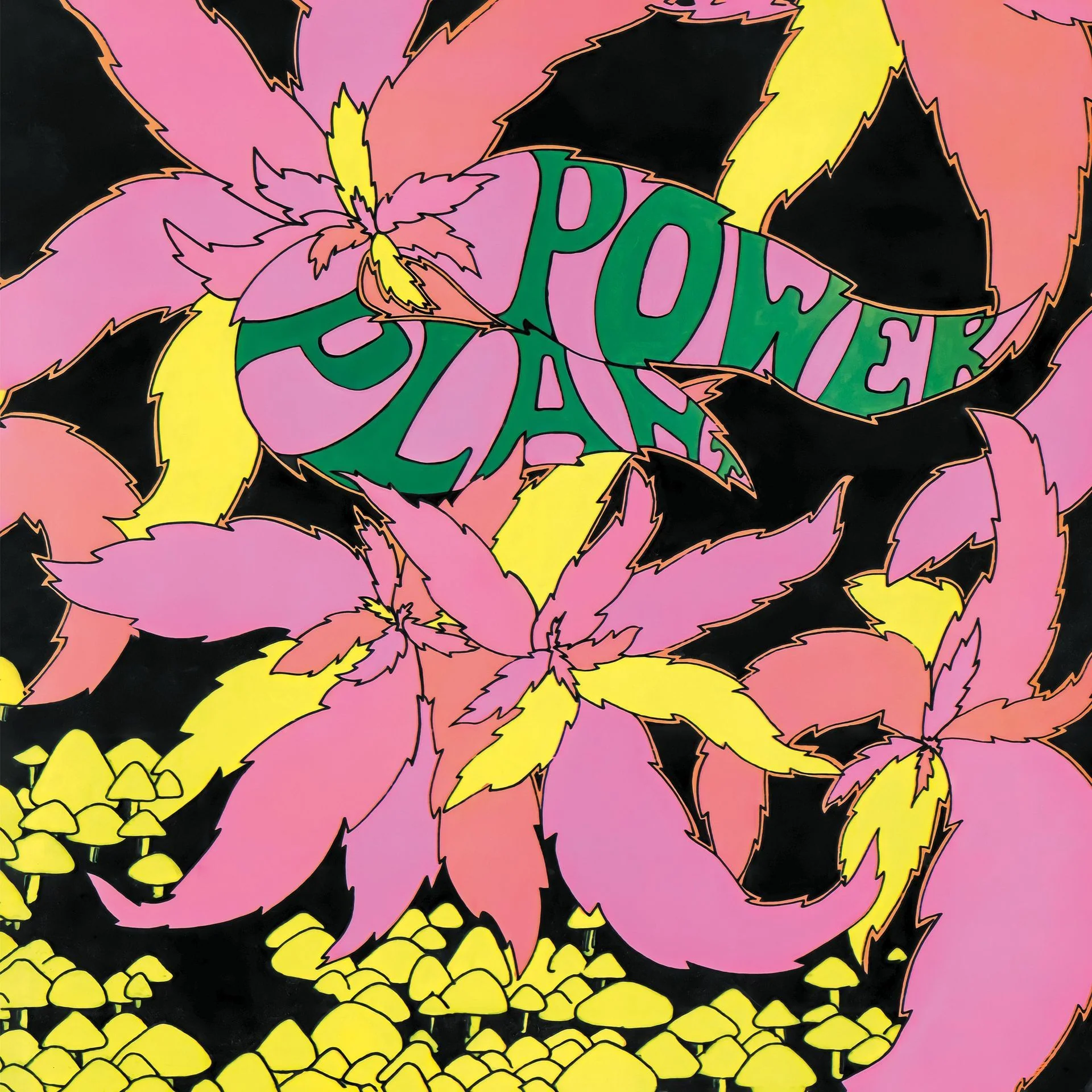 Power Plant - RSD 2025