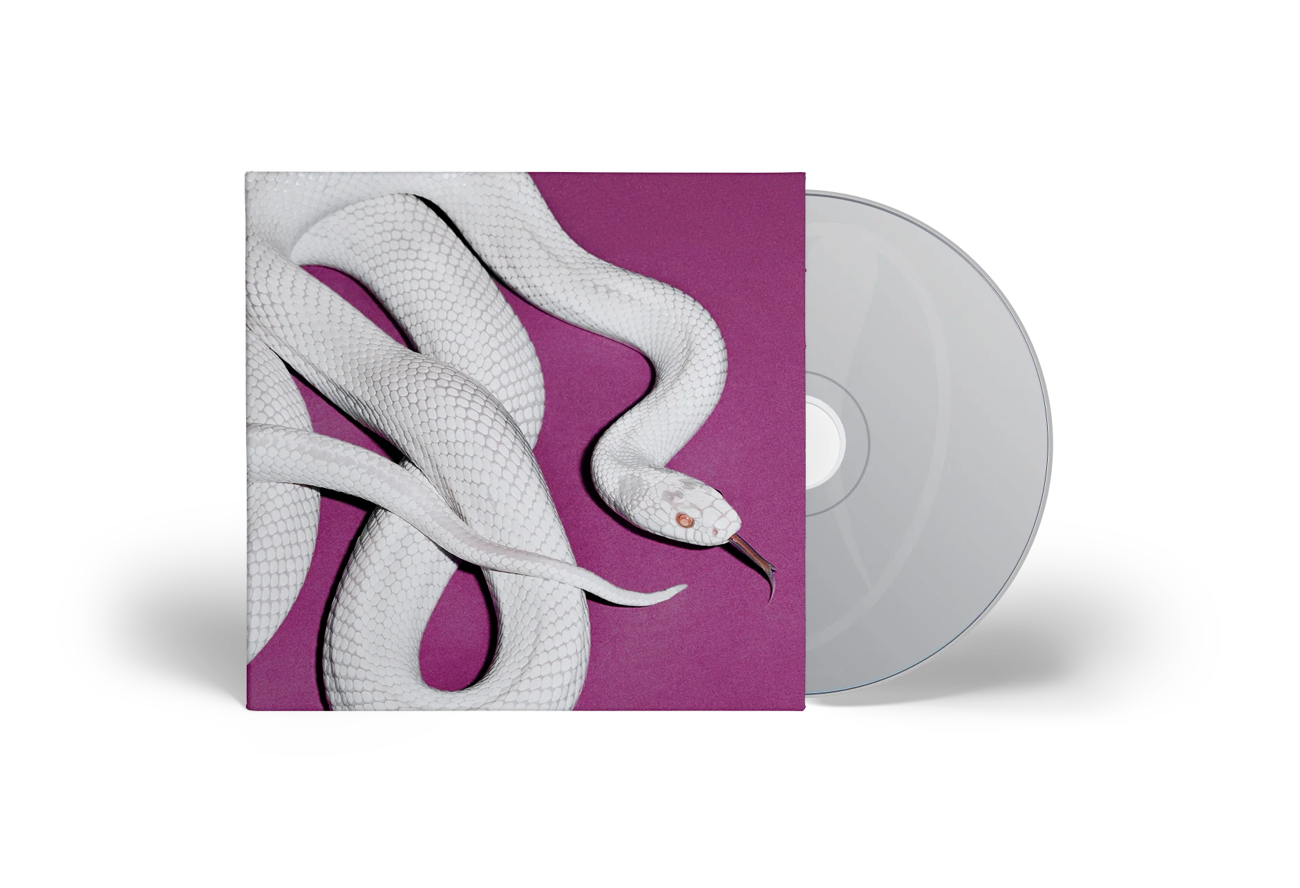 Private Music - Image 4