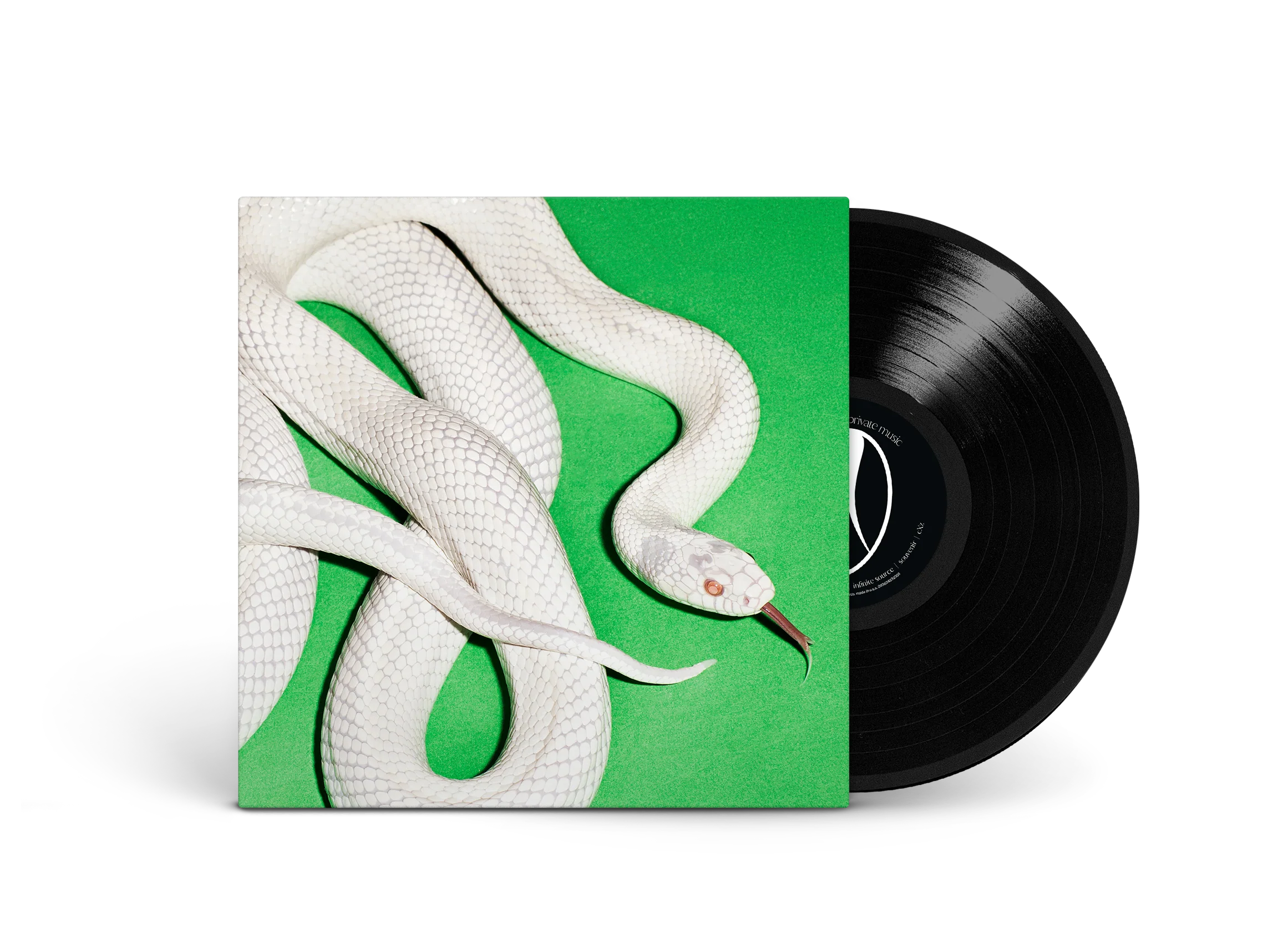Private Music - Image 7