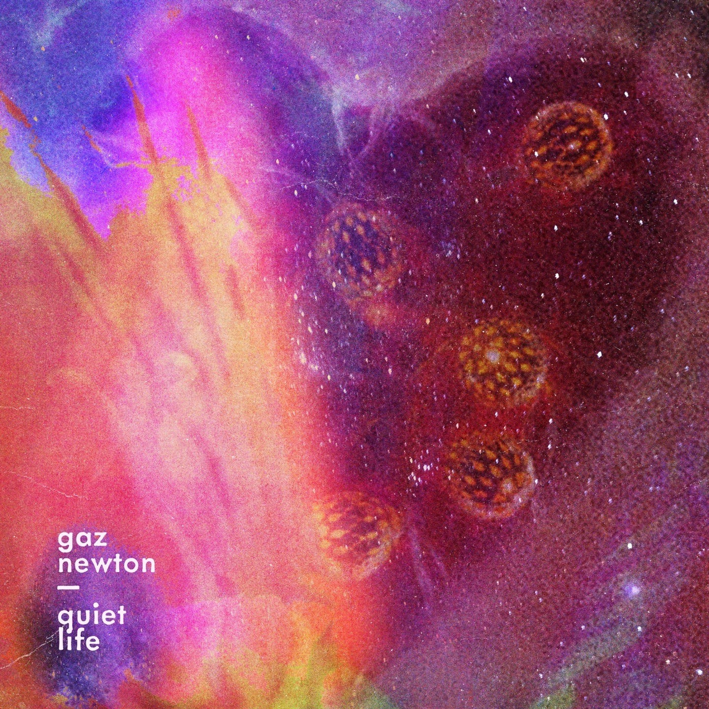 Quiet Life - Image 2