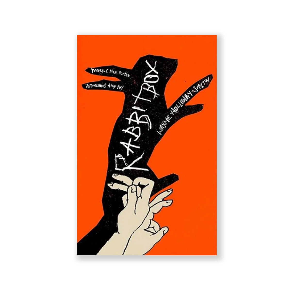 RABBITBOX - Image 2
