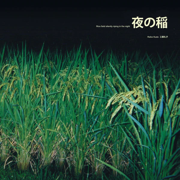 Rice Field Silently Riping In The Night - Image 2