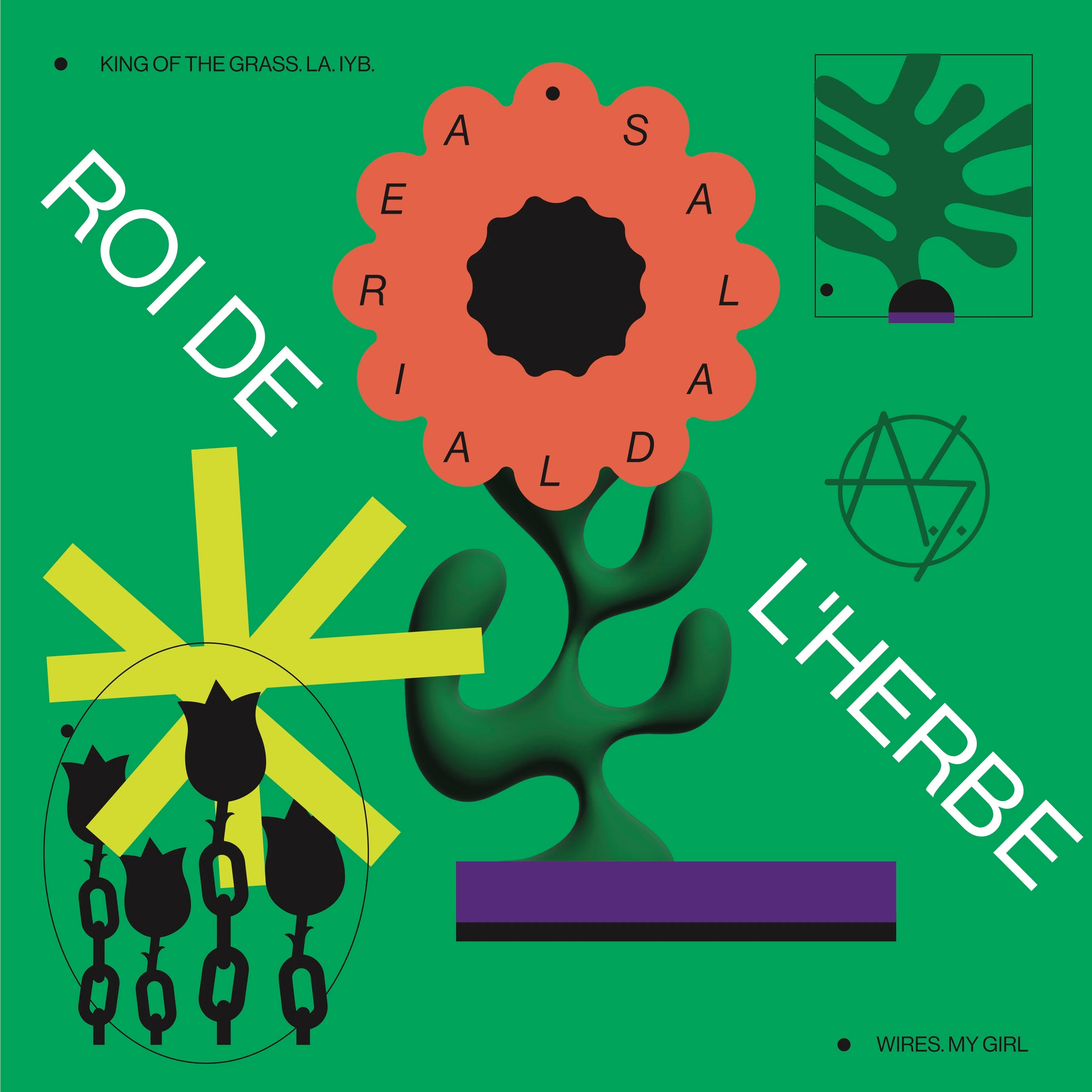 Roi De L’Herbe - Image 7