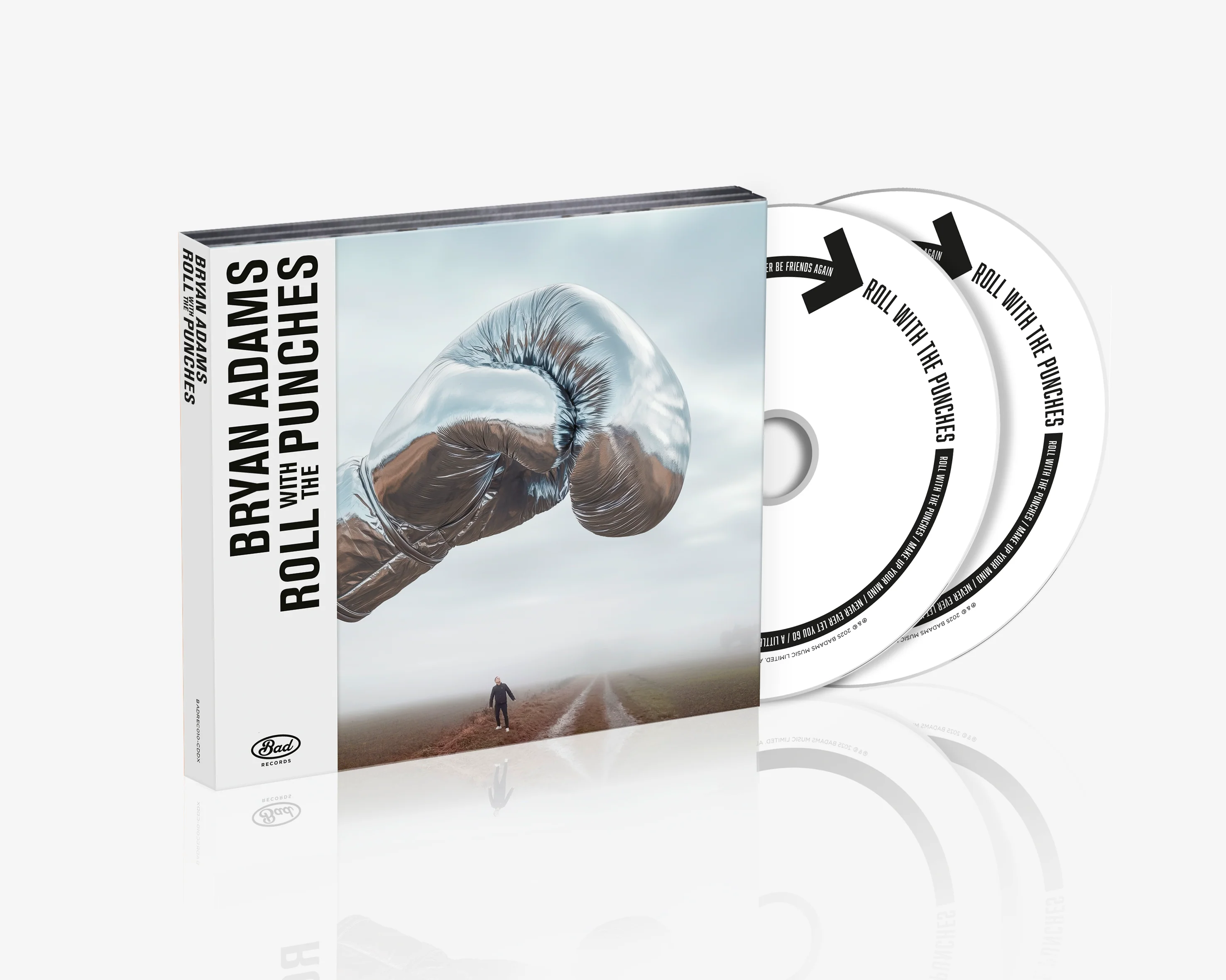 Roll With The Punches - Image 2