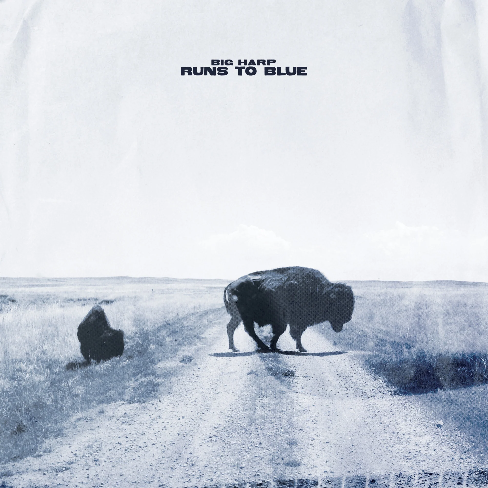 Runs To Blue