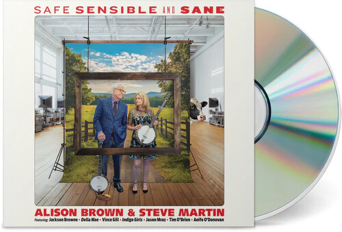 Safe, Sensible And Sane - Image 3