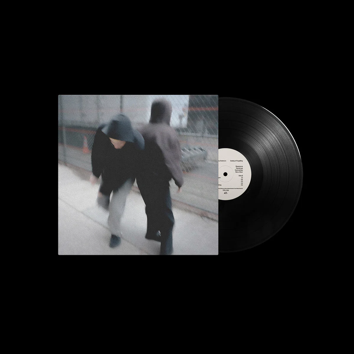 Seeing is Forgetting - Image 2
