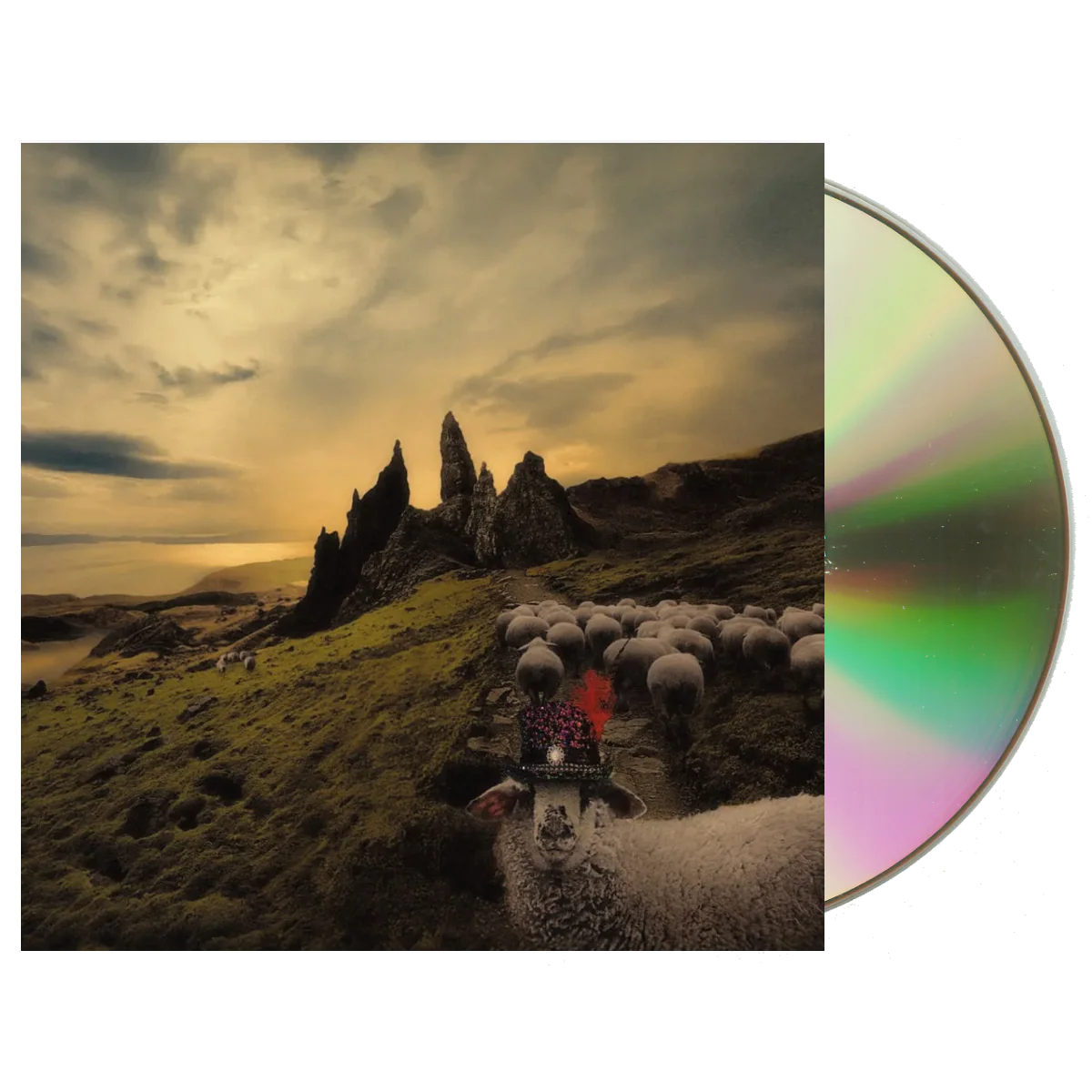 Sheeple - Image 2
