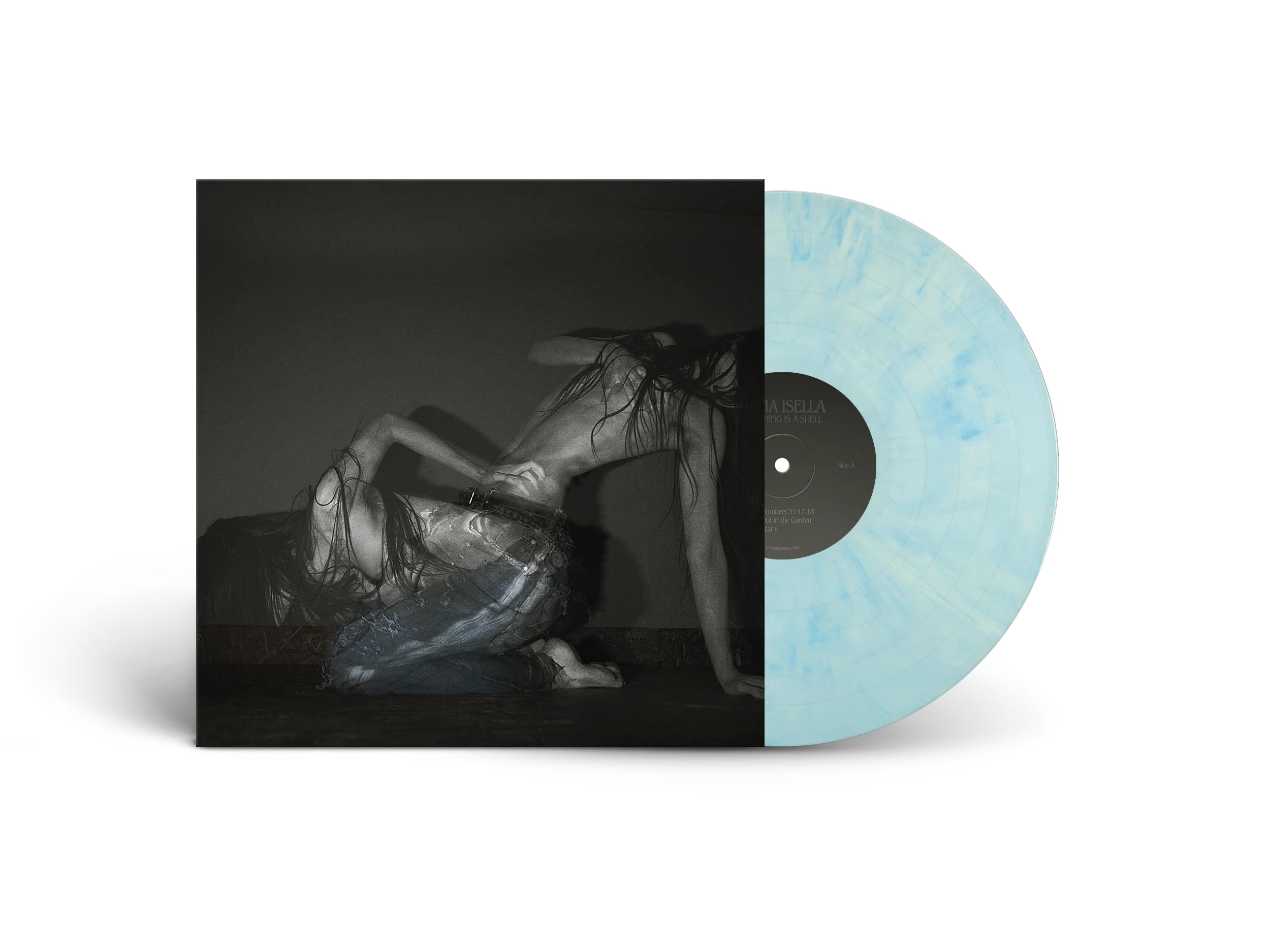 Something is a shell - Image 4
