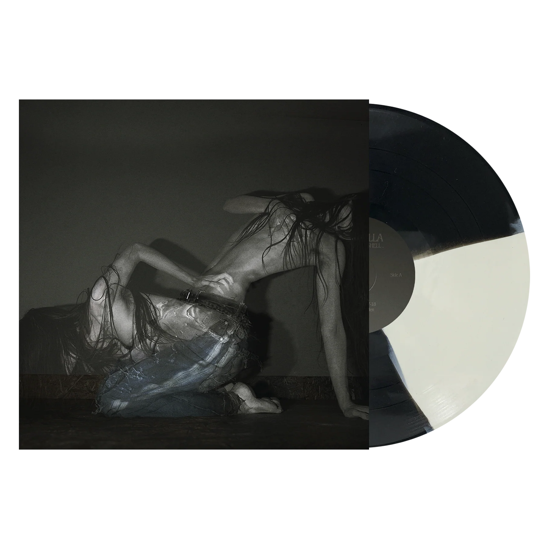 Something is a shell - Image 5