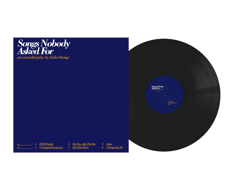 Songs Nobody Asked For - Image 2