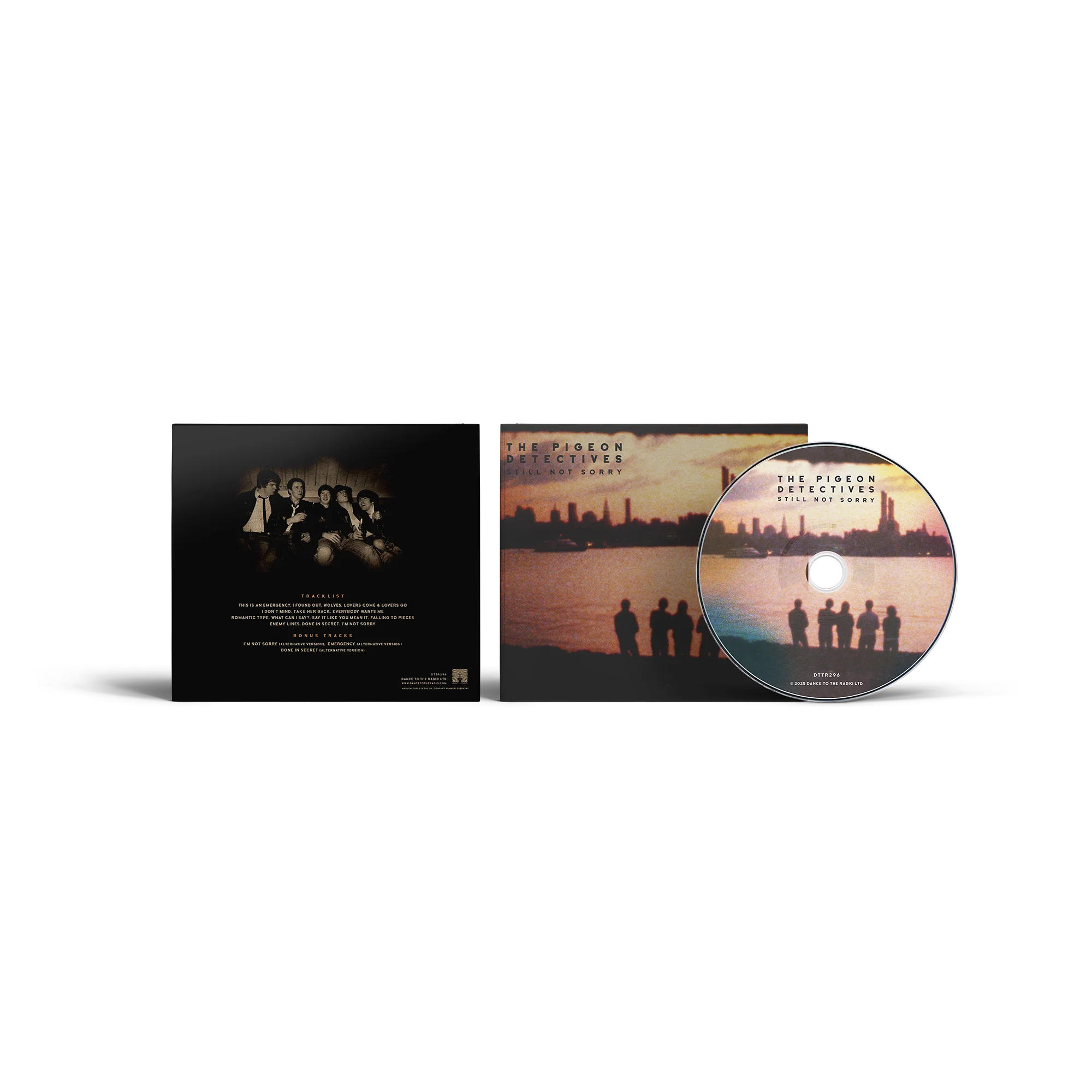 Still Not Sorry - The Best of the Pigeon Detectives - Image 2