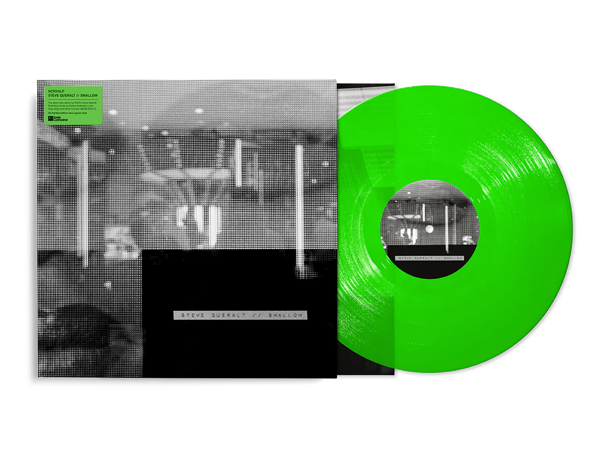 Swallow - Image 4