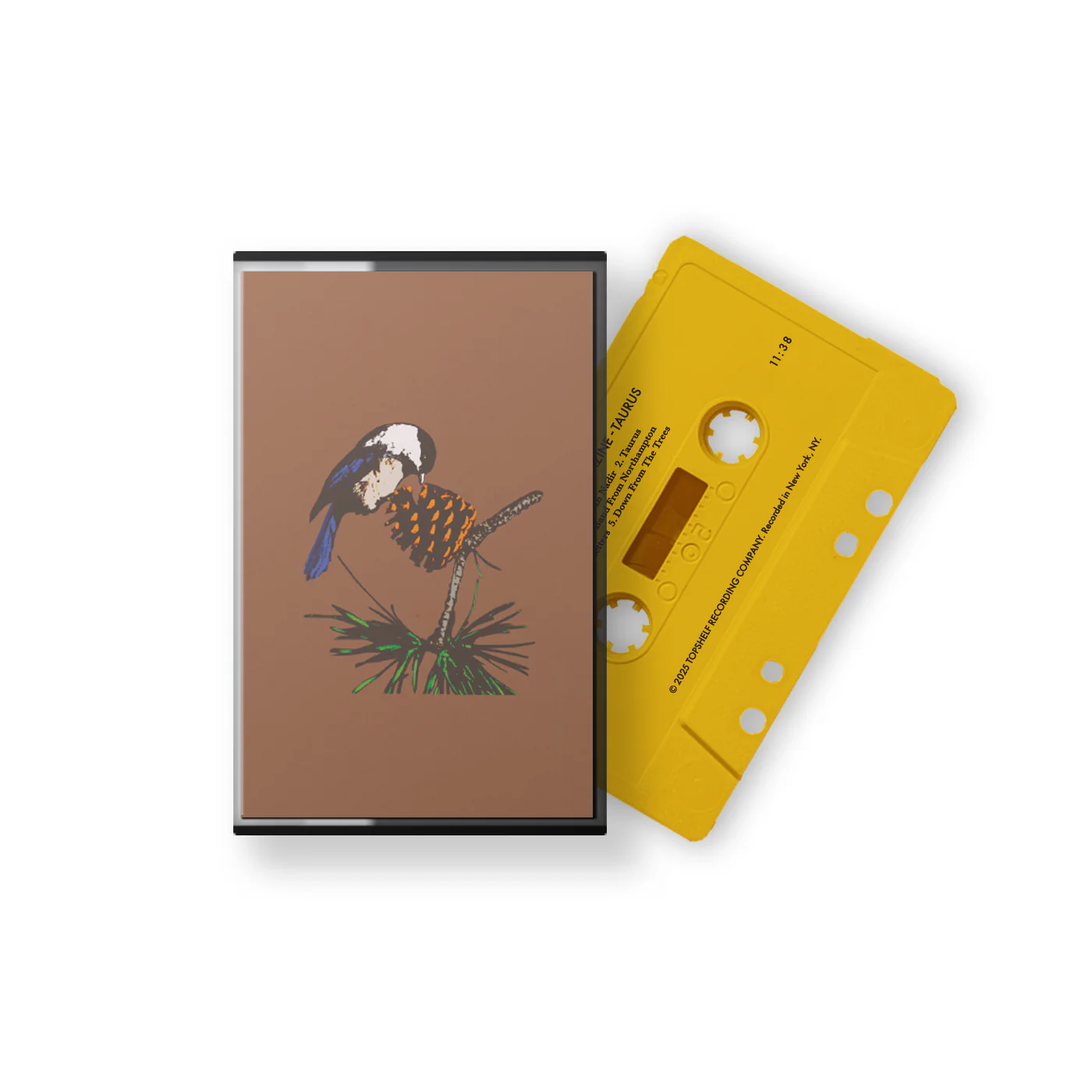 Taurus - Image 2