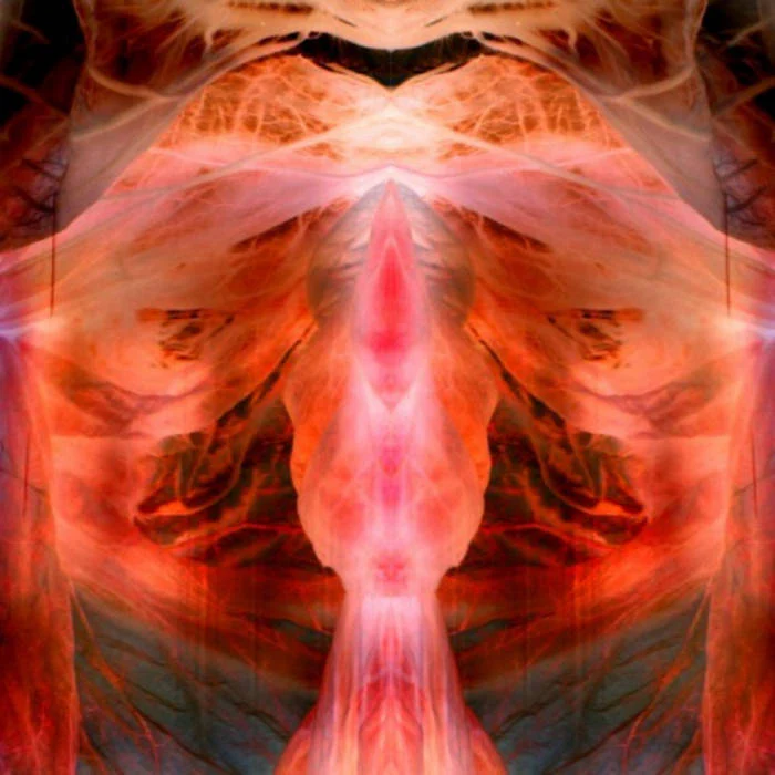 The Annihilating Angel (or the Surface of the World) - Image 2